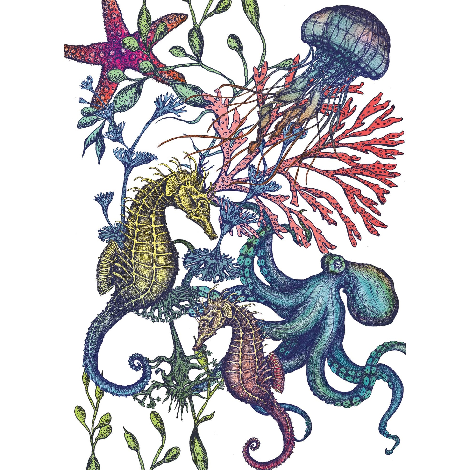 Cotton and Linen mix Tea Towel with hand drawn illustrations in Reef design with starfish,seaweed,octopus and a seahorse in various colours