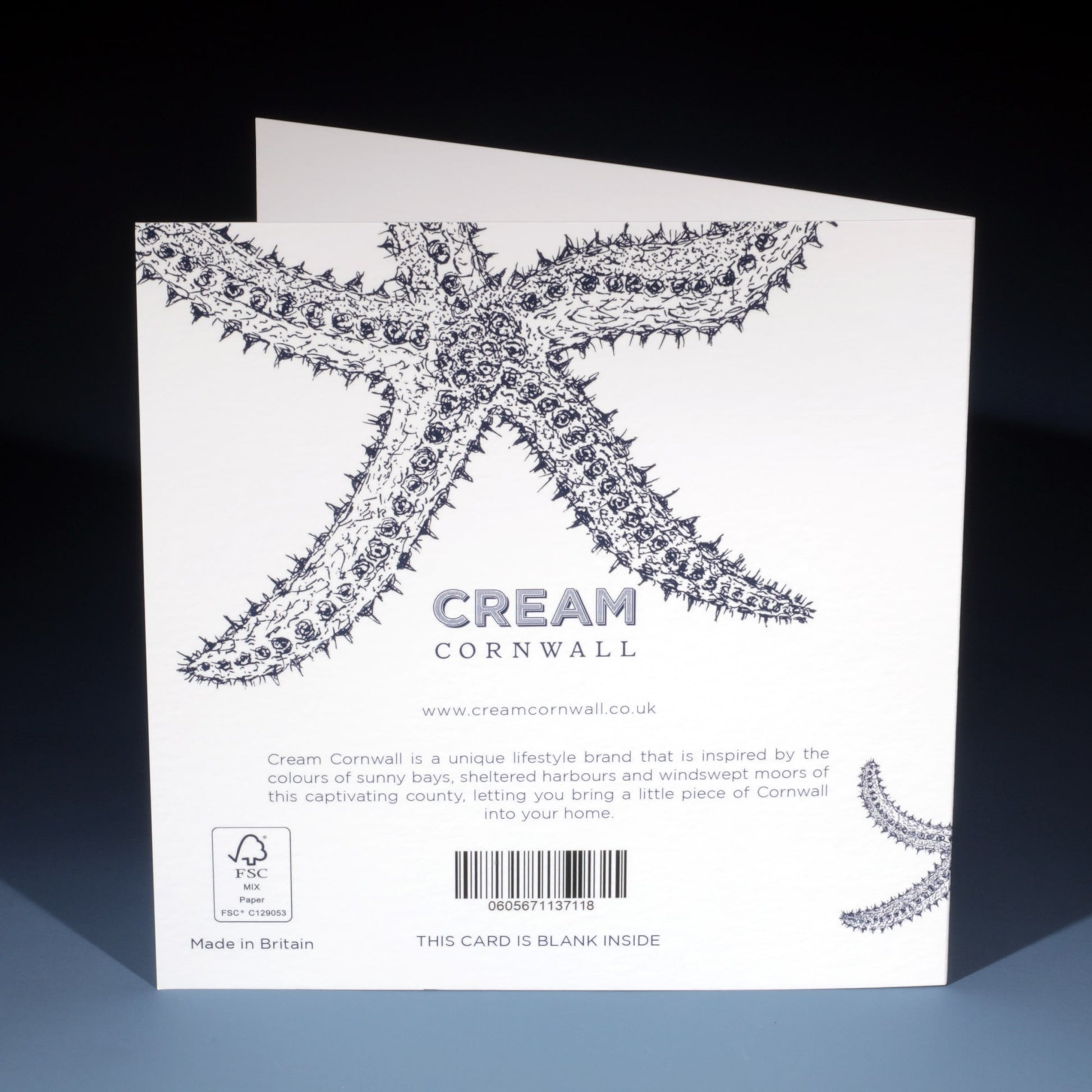 A Galaxy of Starfish Greetings Card