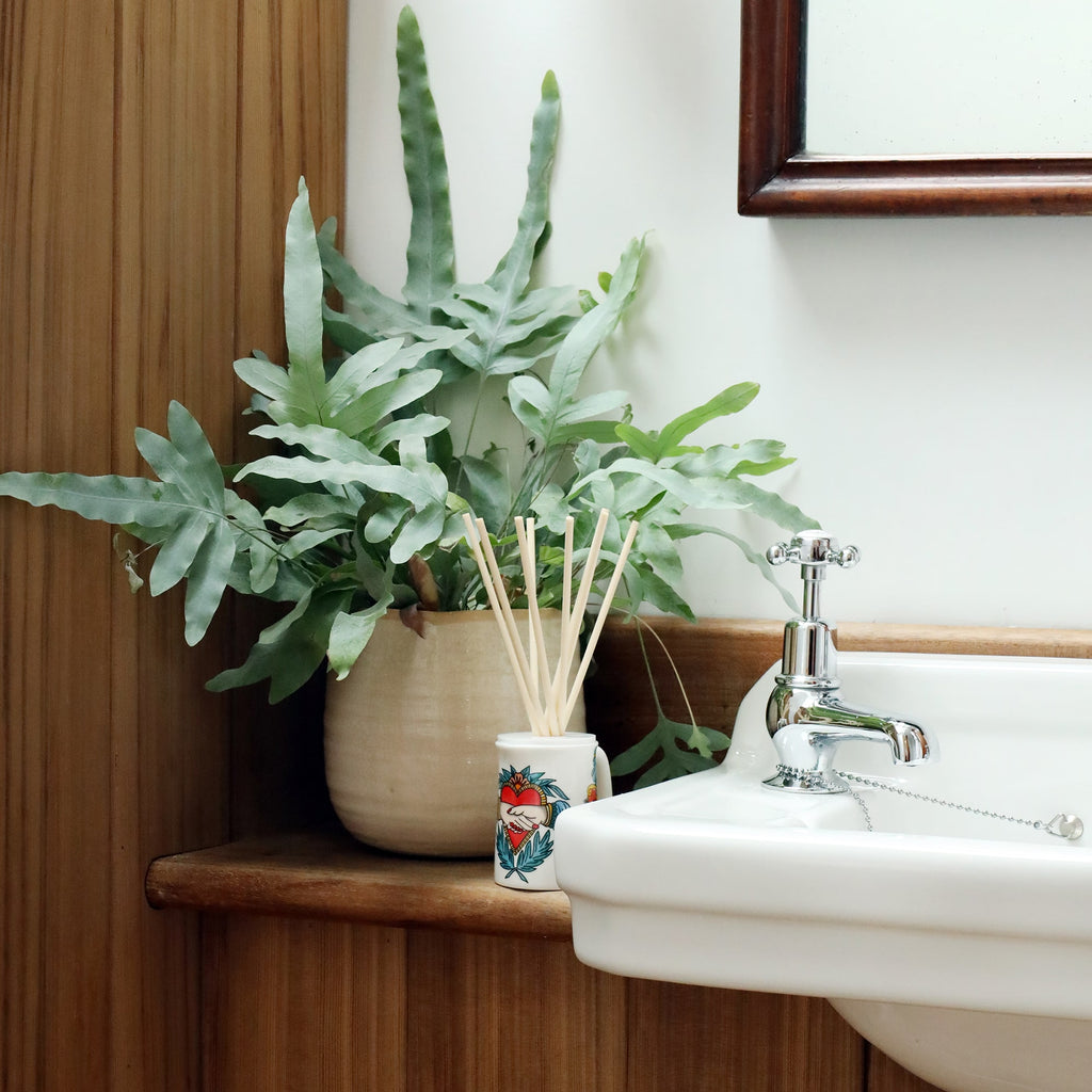 Sailors Story room diffuser with natural reeds on a bathroom shelf next to a sink,there is a plant behind n the shelf.