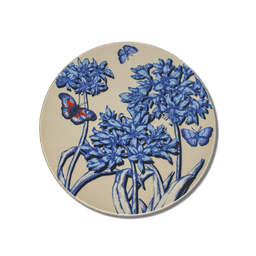 Agapanthus Coaster
