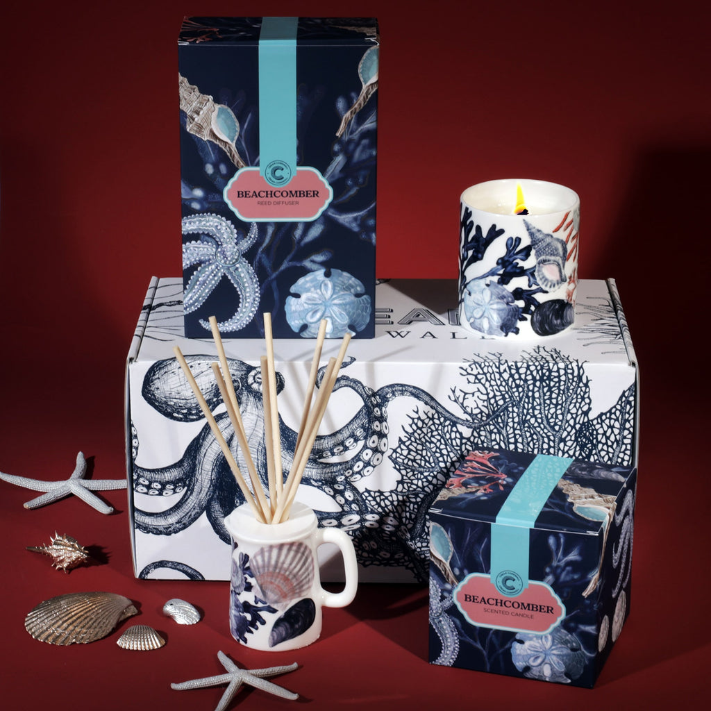 Beachcomber candle and reed diffuser gift set with ocean-inspired packaging, displayed with seashells and starfish against a deep red background.