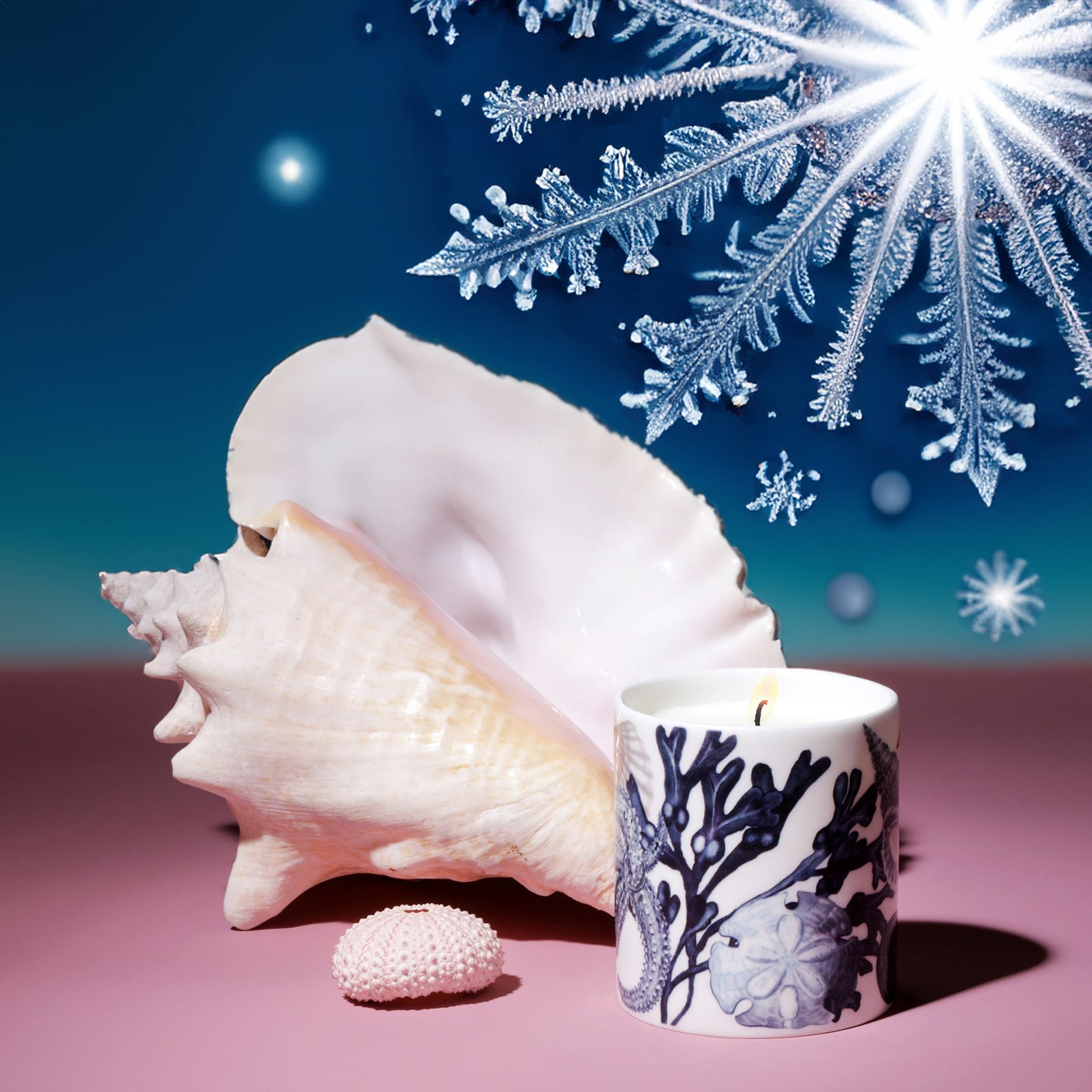 Beachcomber candle with a nautical design featuring coral and shells, placed beside a large conch shell and small sea urchin on a pink surface. Glittering snowflakes sparkle in the blue winter sky above, evoking a coastal Christmas theme