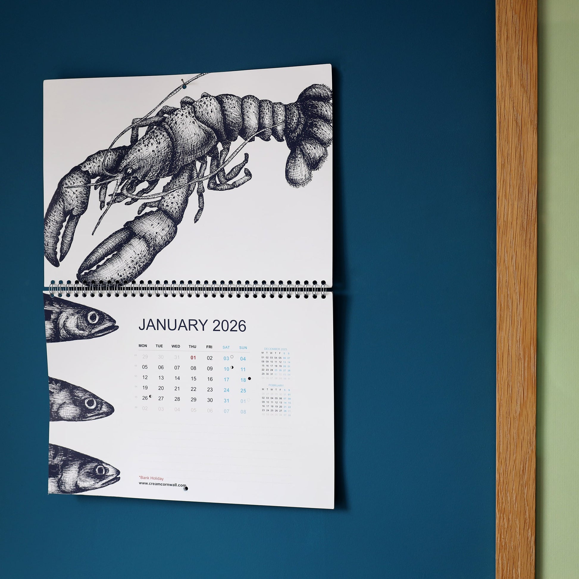 Cream Cornwall 2026 wall calendar open to January with lobster and fish illustrations.