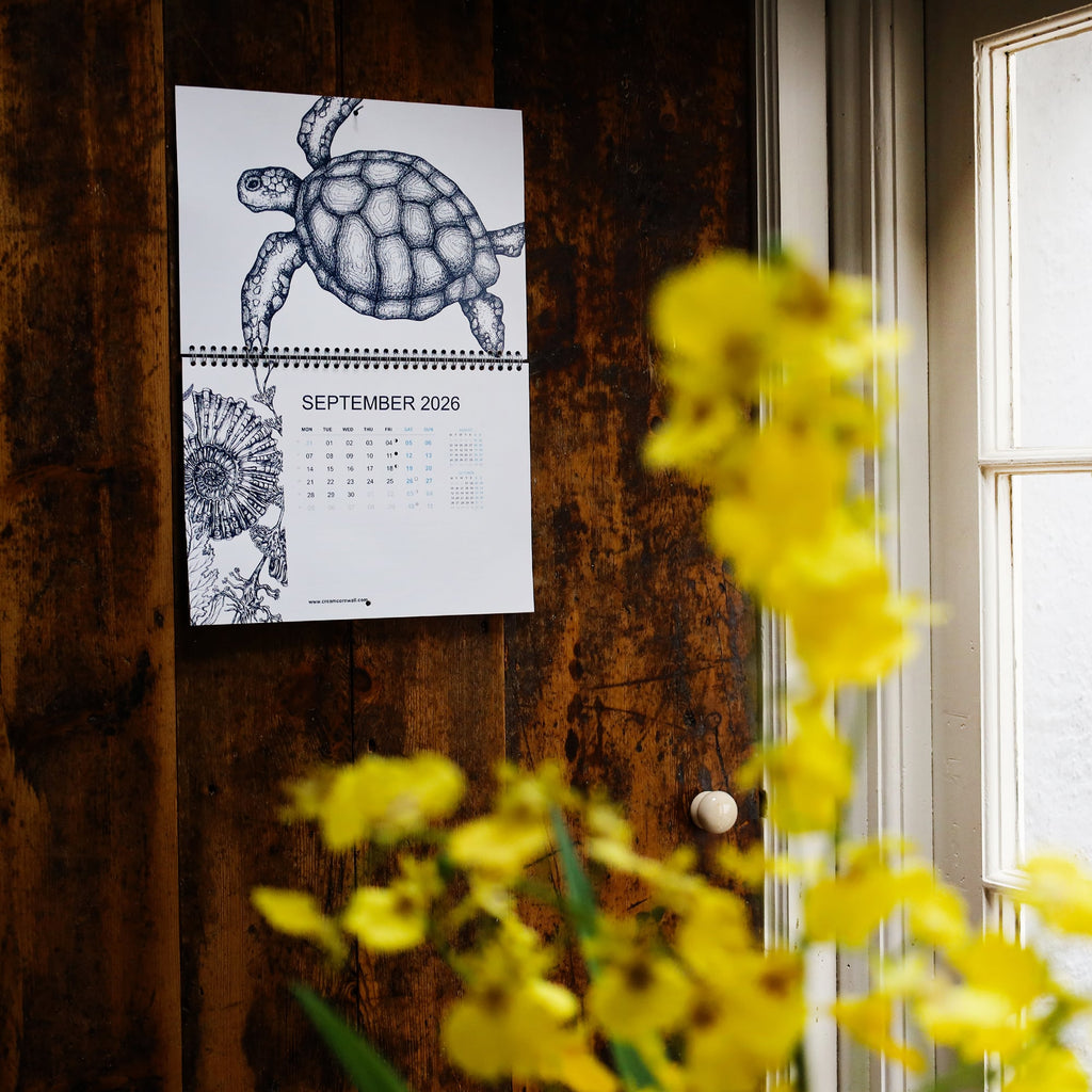 Cream Cornwall 2026 wall calendar open to September with turtle illustration hanging on wooden wall.