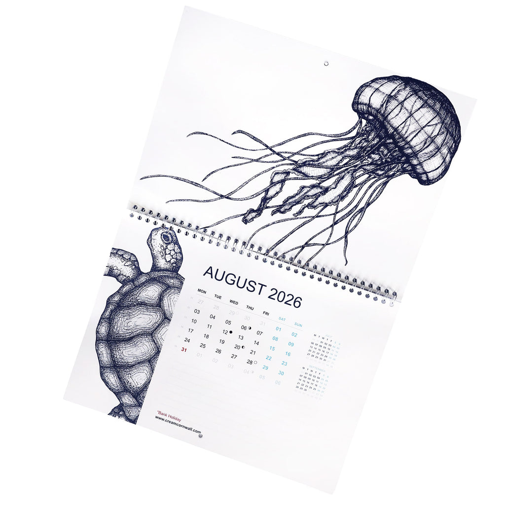 Cream Cornwall 2026 wall calendar open to August with jellyfish and turtle illustrations