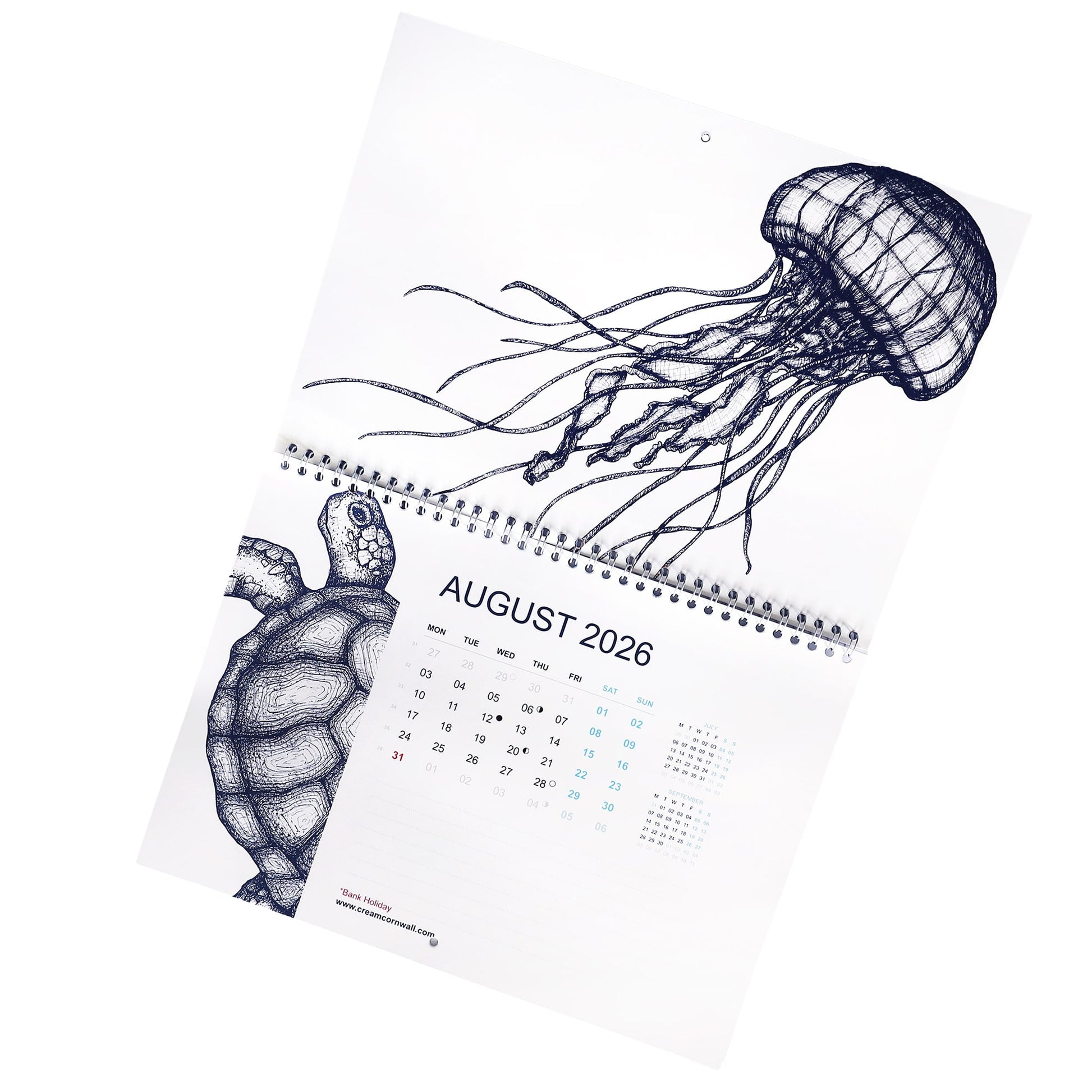 Cream Cornwall 2026 wall calendar open to August with jellyfish and turtle illustrations