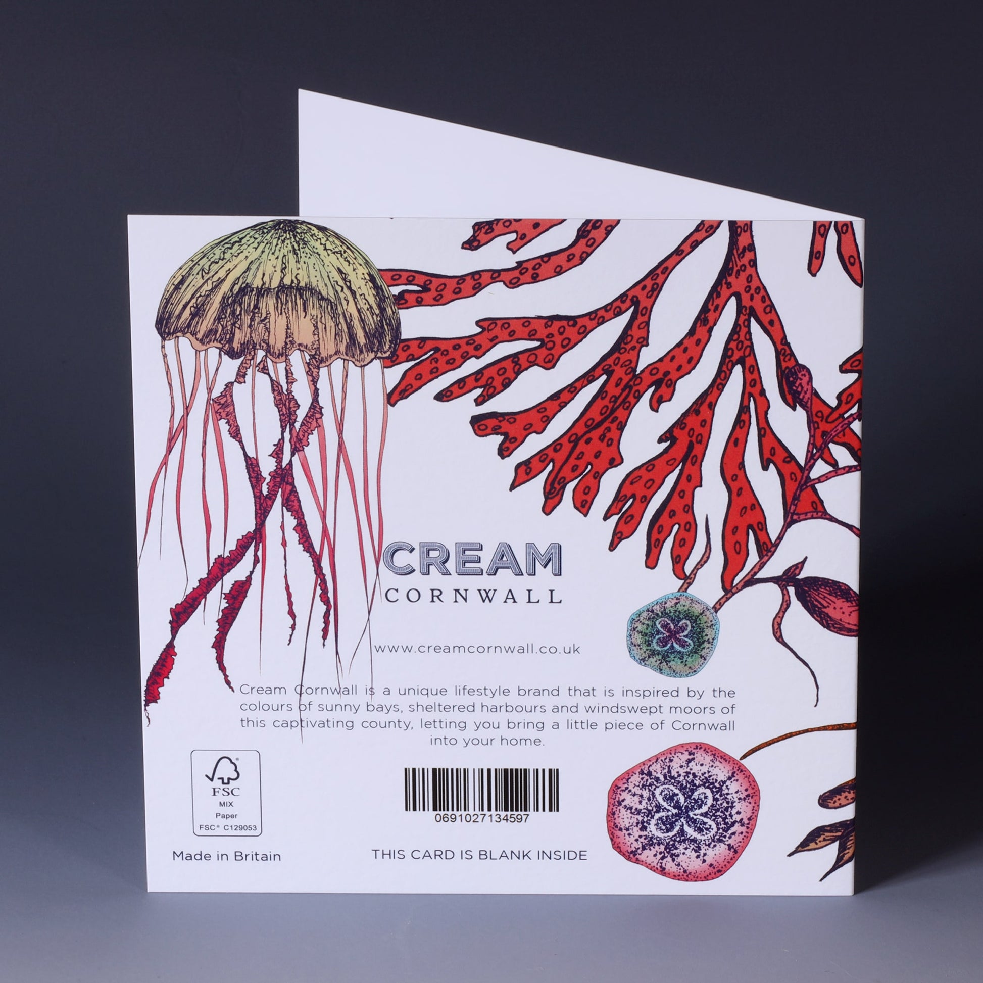 back of brightly coloured greeting card with jellyfish, seahorse and sea coral with baby jellyfish on a white background