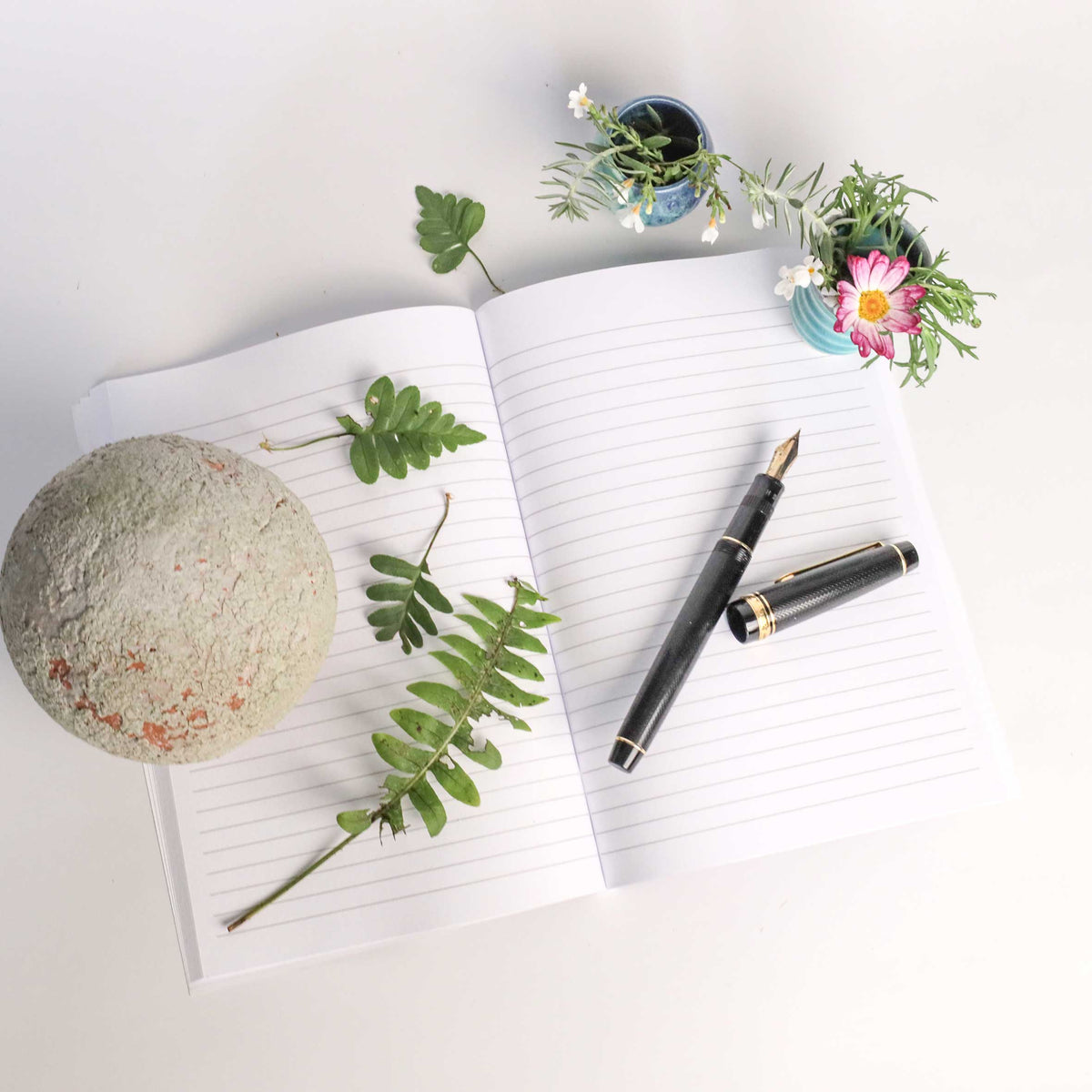 Explorer's Garden Notebook