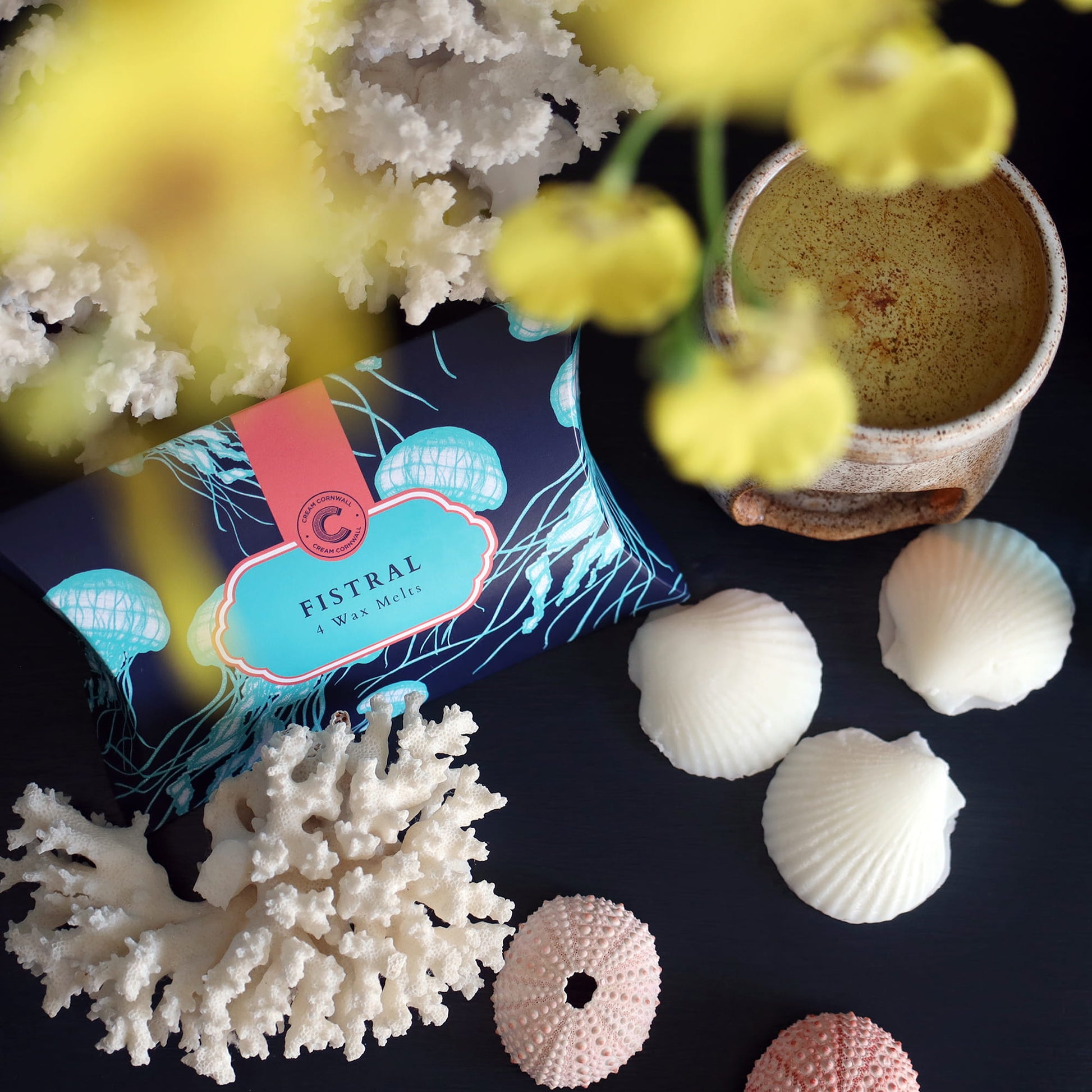 Fistral wax melts packaging with coral, shells, and yellow flowers on a dark surface