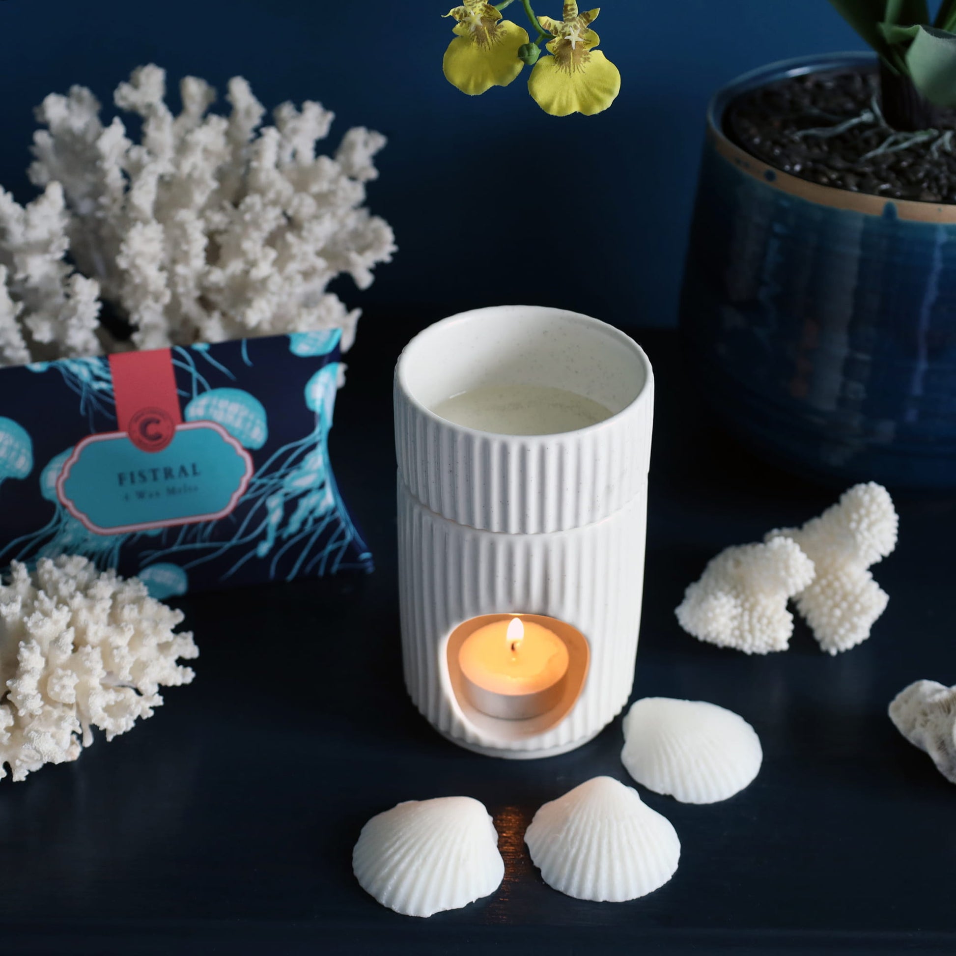 White textured diffuser with a lit candle surrounded by corals, shells, and plants on a dark surface.