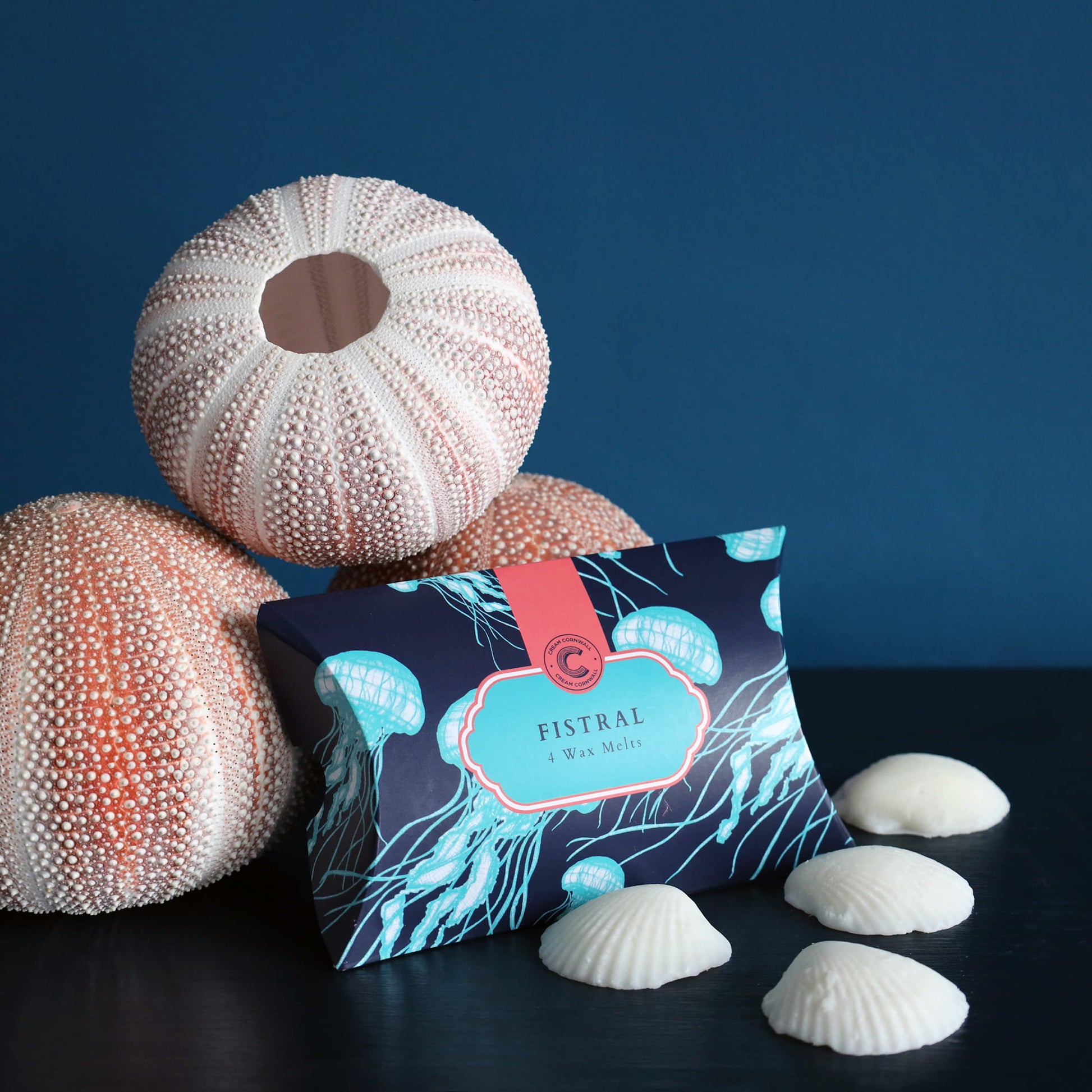 Fistral sea wax melts packaging with sea urchin and shells on a dark surface