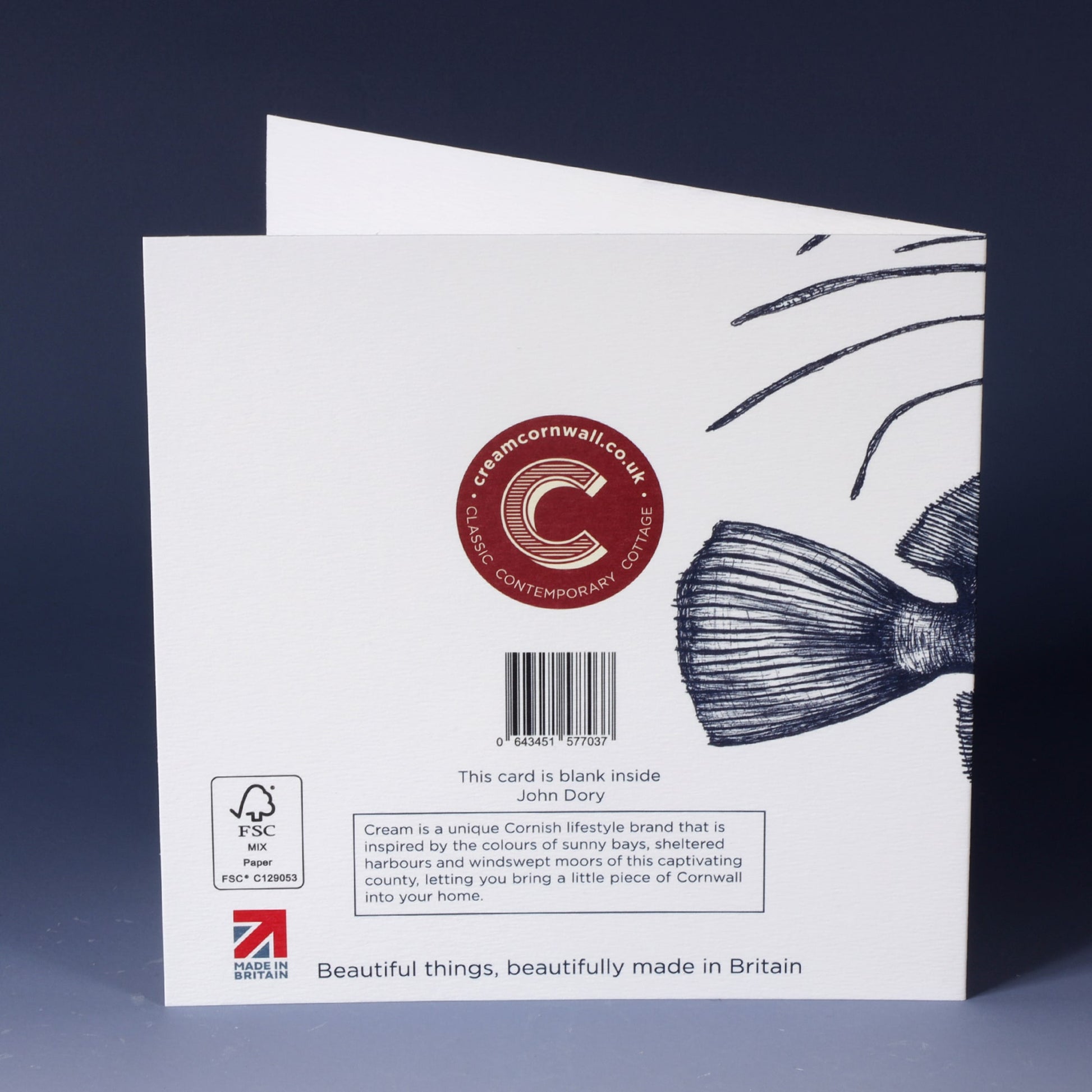 back of blue & white illustrated greeting card of a John Dory 