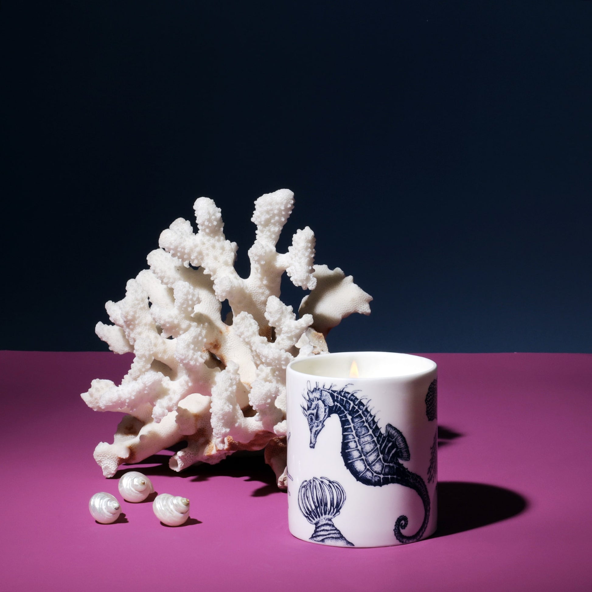 A white bone china votive with blue floral and seahorse designs, containing a candle, displayed alongside a large white coral decoration and four small seashells on a purple surface.