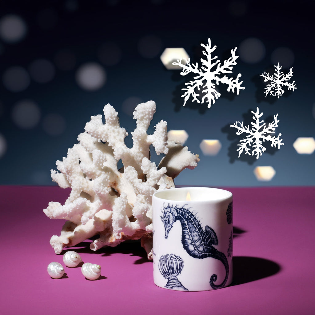 Lit Lamorna candle with a navy seahorse illustration beside a piece of white coral and small seashells on a magenta surface, with white snowflakes and soft golden bokeh lights in the background.