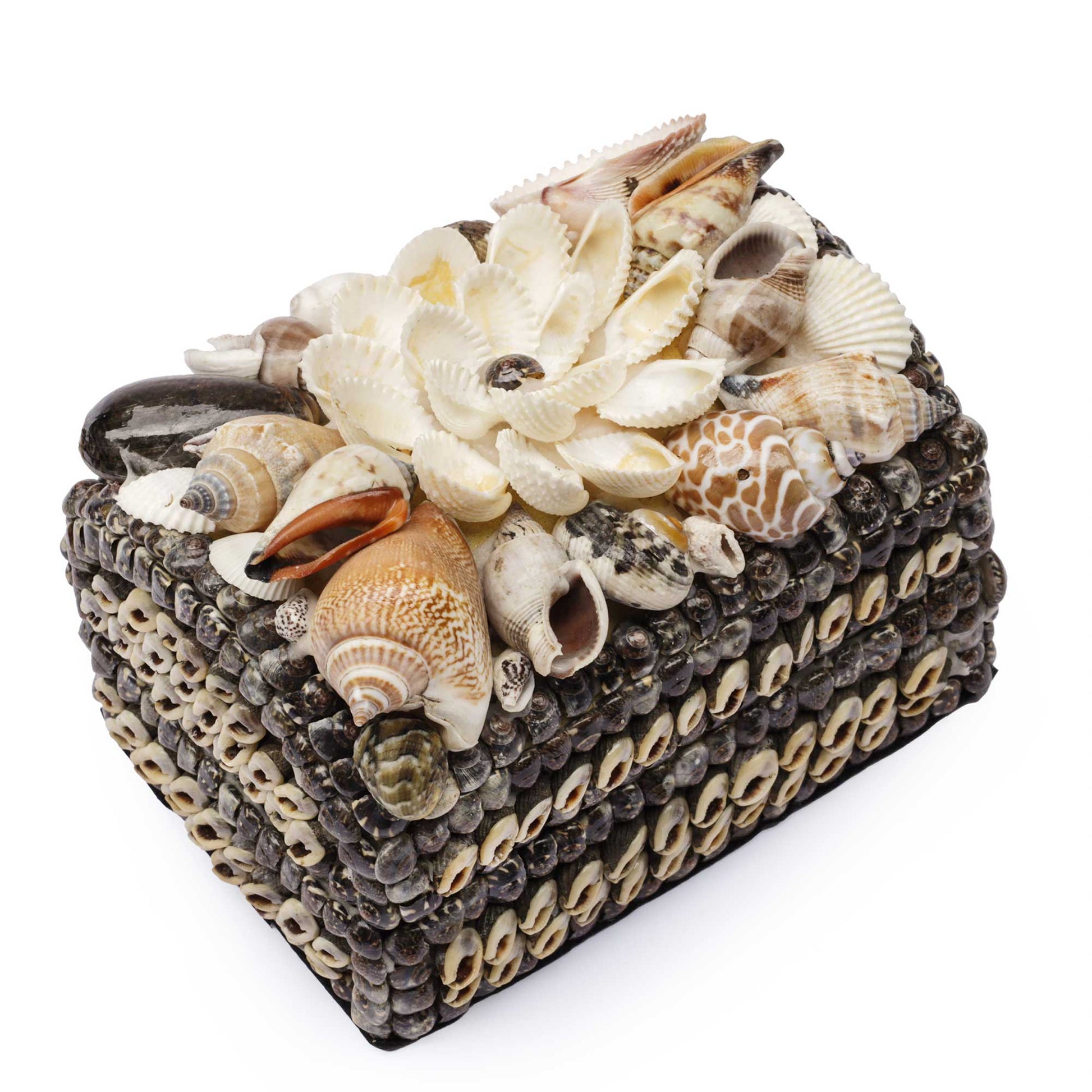 A decorative square box covered in small seashells on the sides and topped with larger seashells and a white shell flower, photographed on a plain white background.