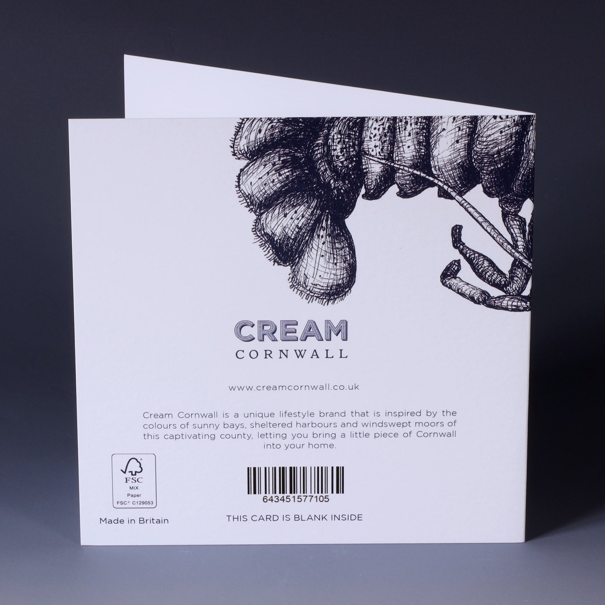 back of greeting card with navy illustrated lobster on white background