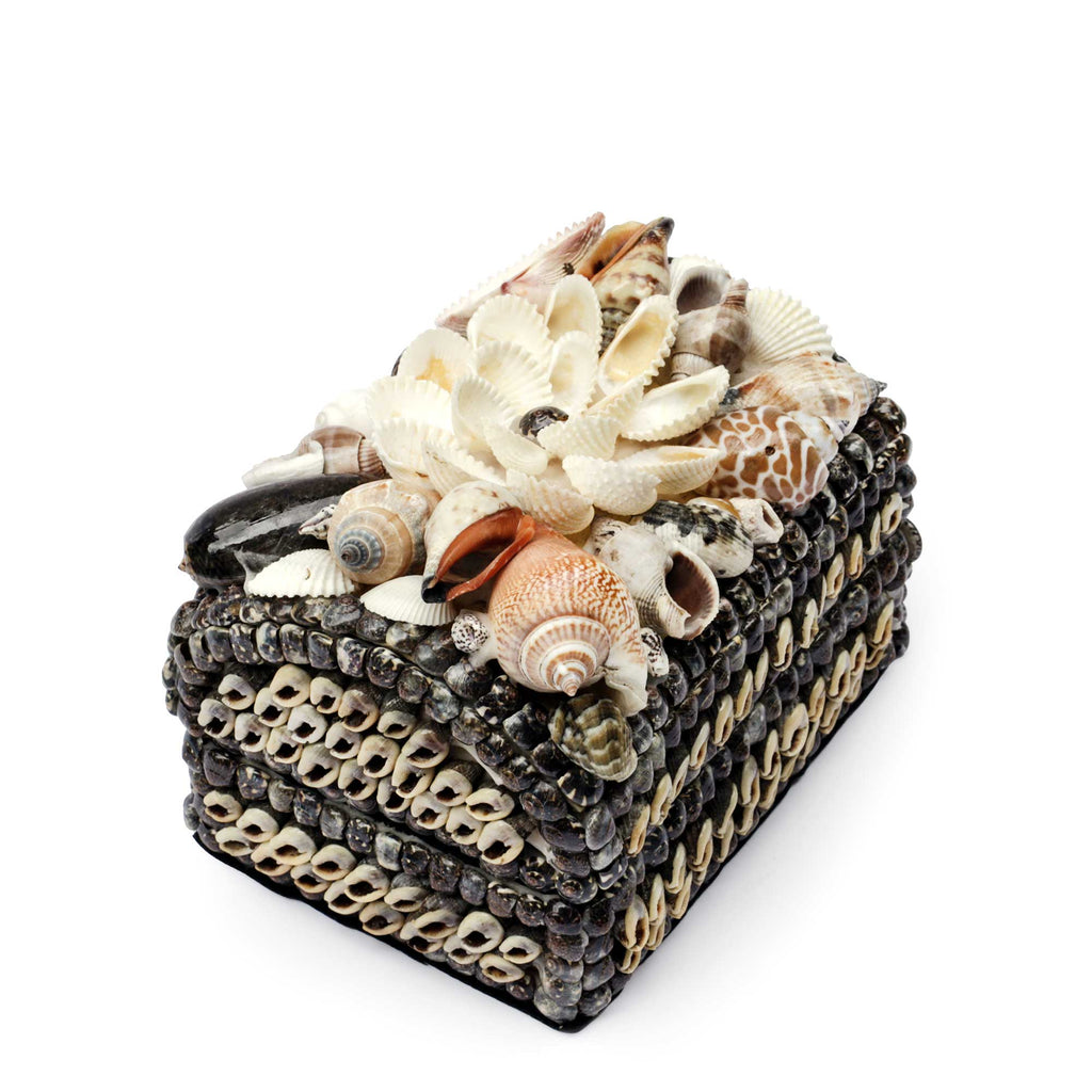 A rectangular decorative box covered in small shells and topped with a larger cluster of seashells, photographed on a plain white background.
