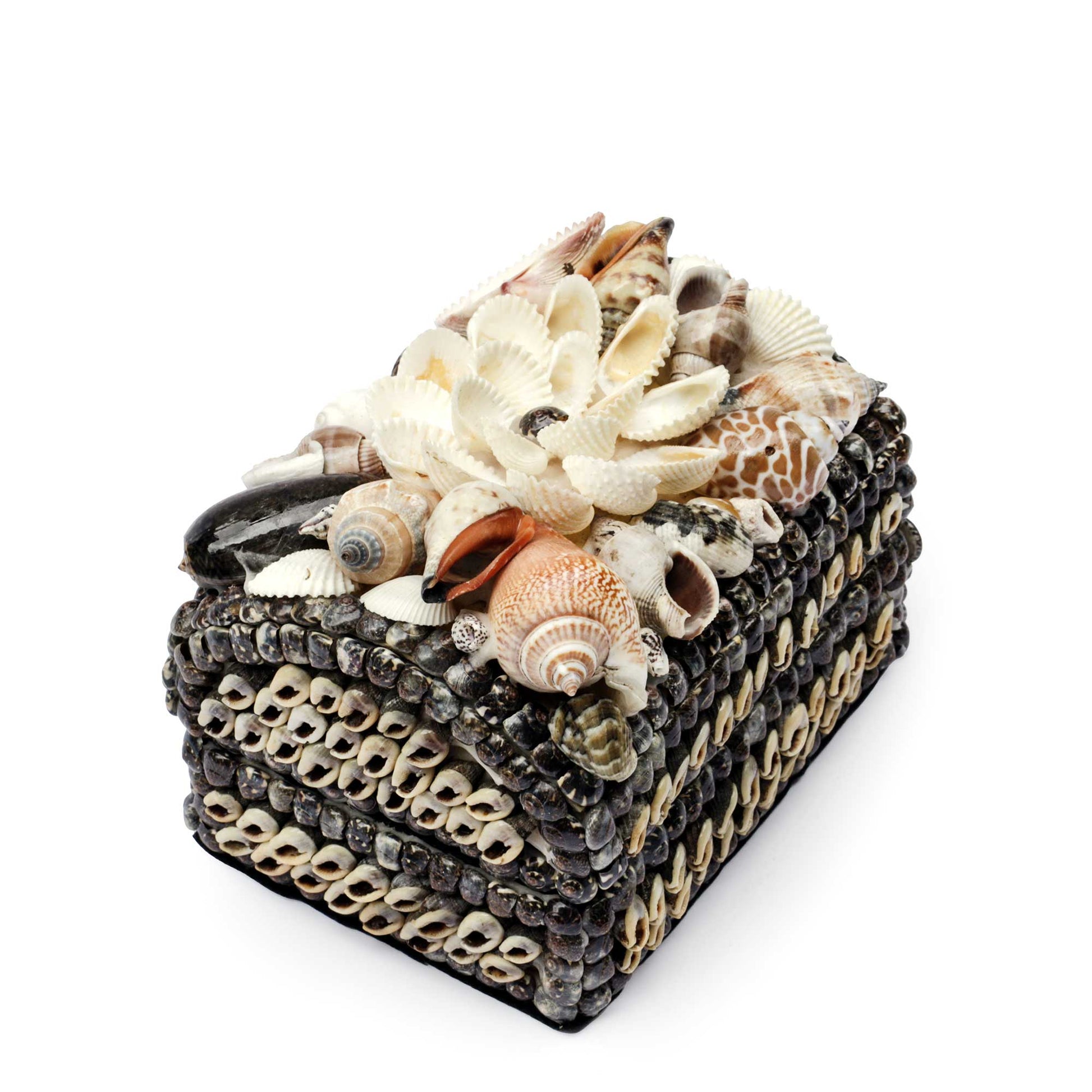 A rectangular decorative box covered in small shells and topped with a larger cluster of seashells, photographed on a plain white background.