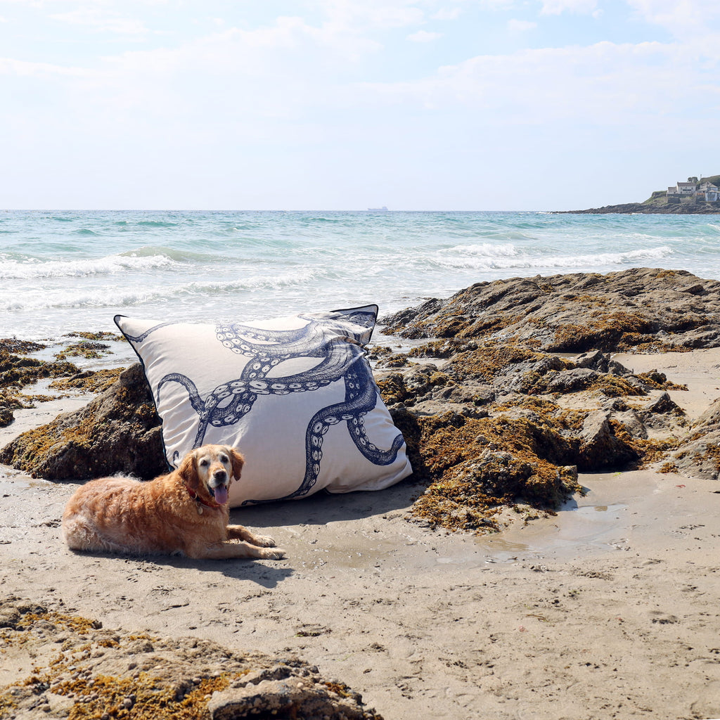 Dog lying on a rocky beach with a decorative pillow featuring an octopus design.