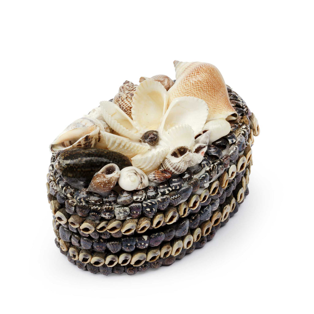A decorative oval box crafted from stacked seashells and beads, adorned with large white seashells on top, photographed on a clean white background.