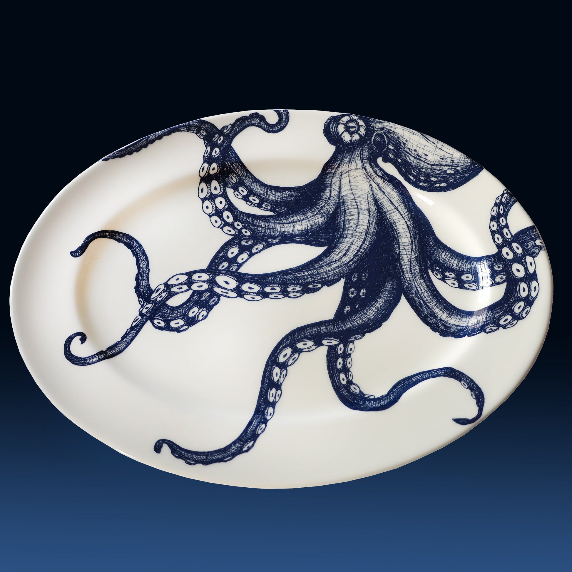 White plate with a blue octopus design on a dark background