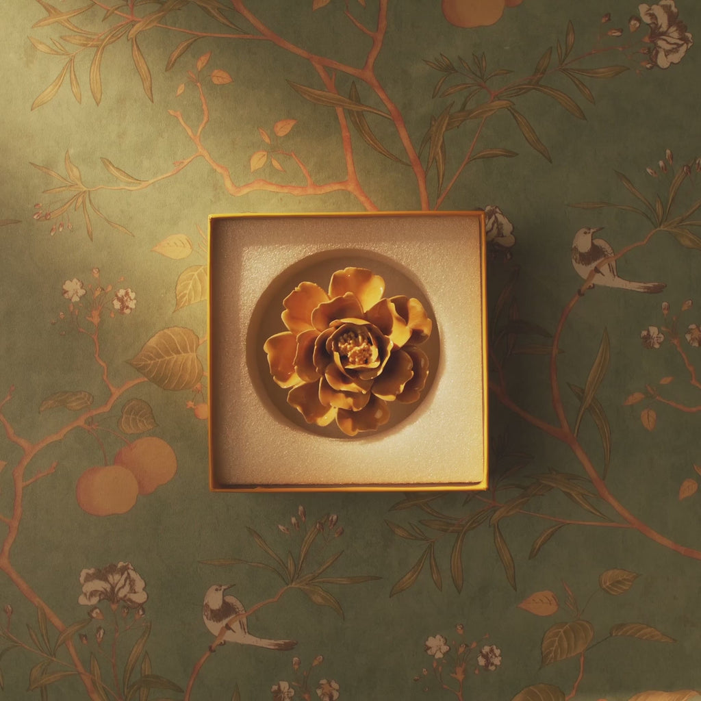 video of ceramic flower in a box

