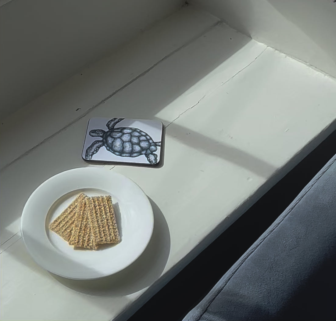 Blue and White Turtle Design Coaster