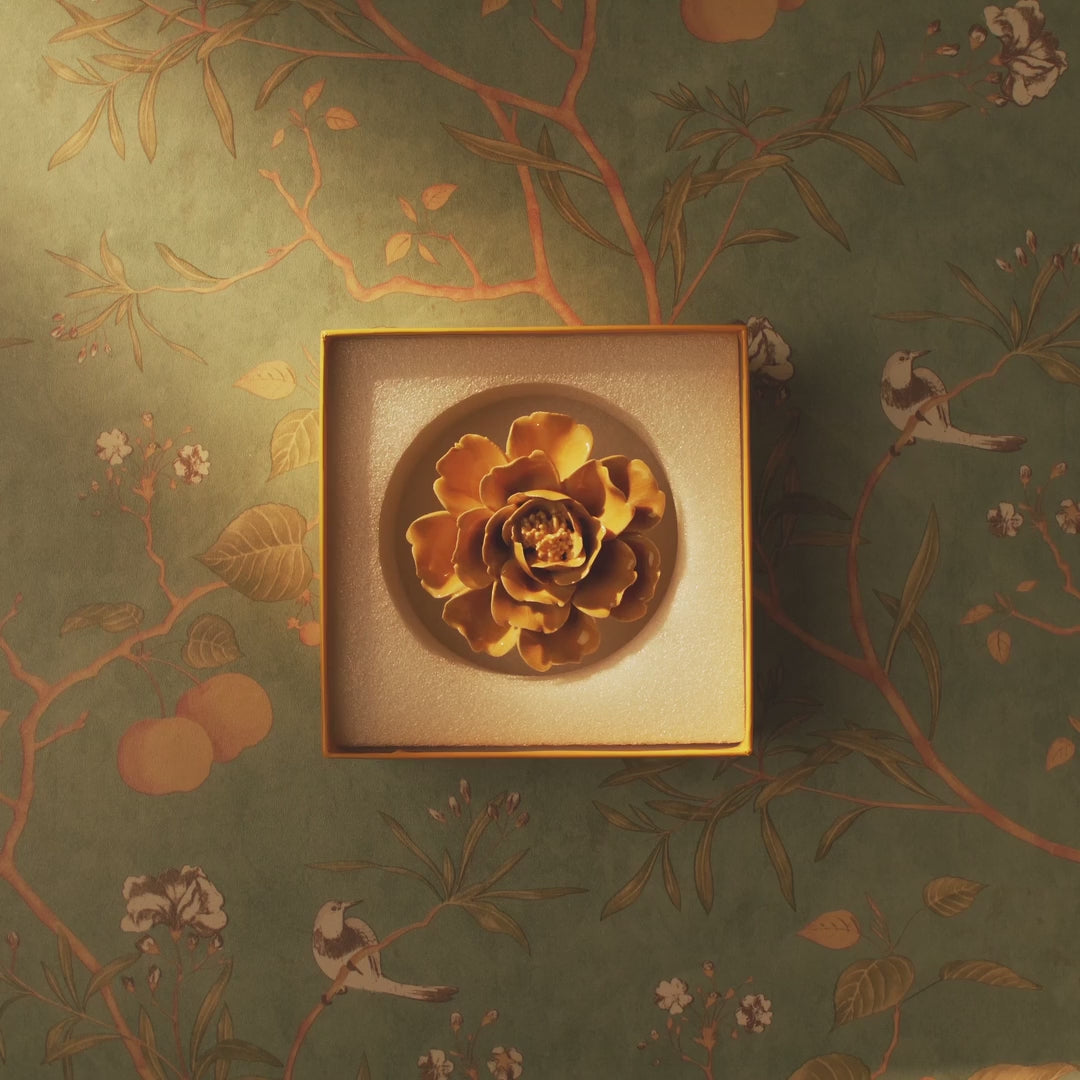 video of ceramic flower in a box