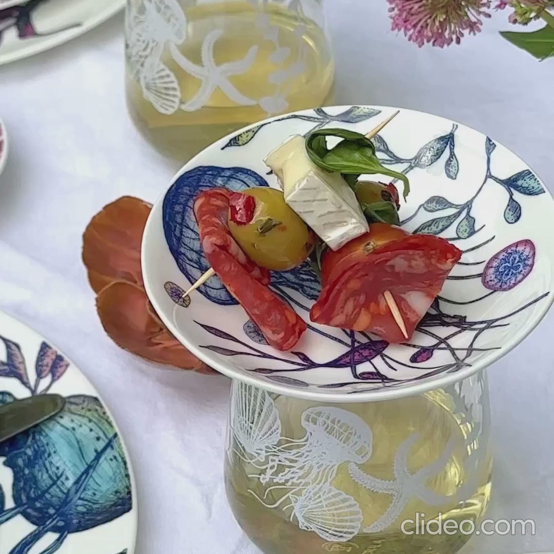 reef jellyfish nibbles dish on sea creature glass with tapas