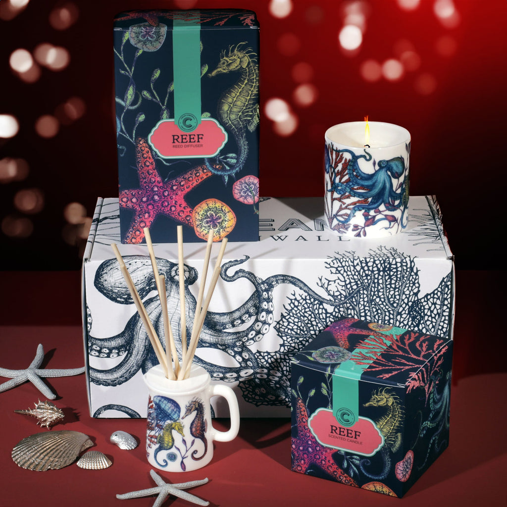 Reef candle and diffuser gift set displayed in a festive scene, featuring a lit candle in a marine-themed holder, a reed diffuser with seahorse design, and matching illustrated boxes with coral and sea life patterns, surrounded by starfish and seashell decorations against a red background with soft glowing lights.