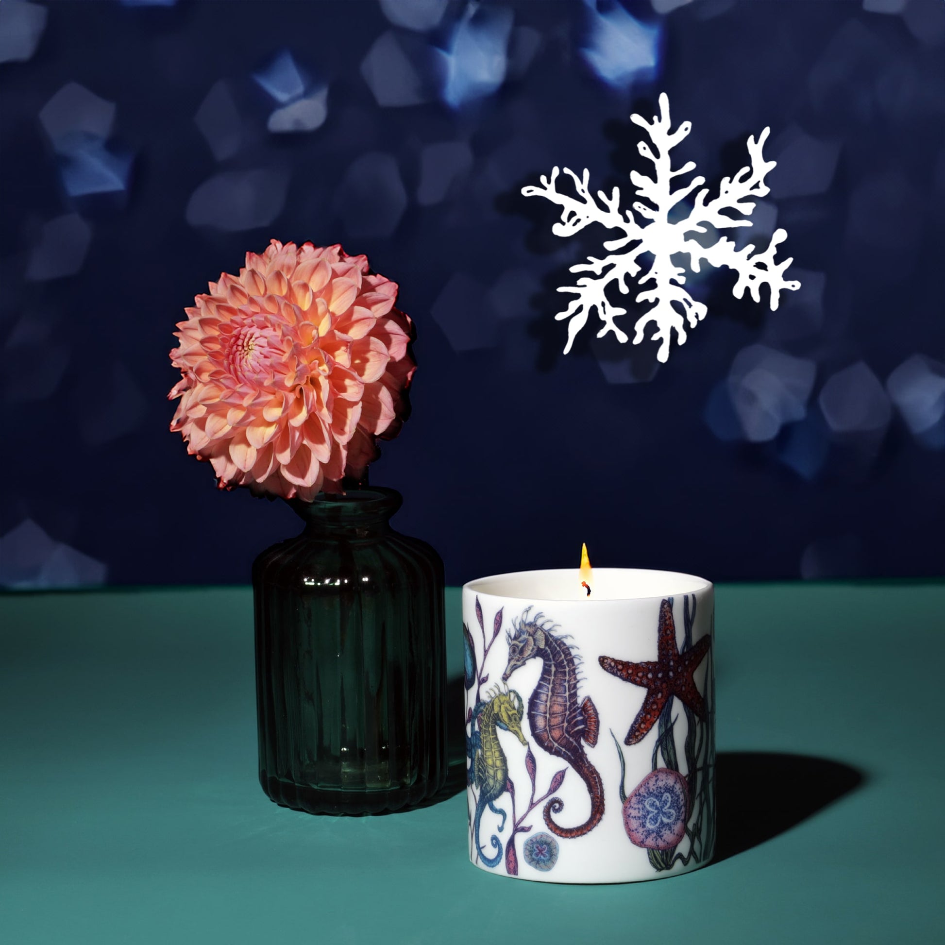 Lit Reef candle featuring colourful seahorse and starfish illustrations beside a coral-pink dahlia in a dark green glass vase, with a white snowflake decoration and soft blue bokeh lights in the background.