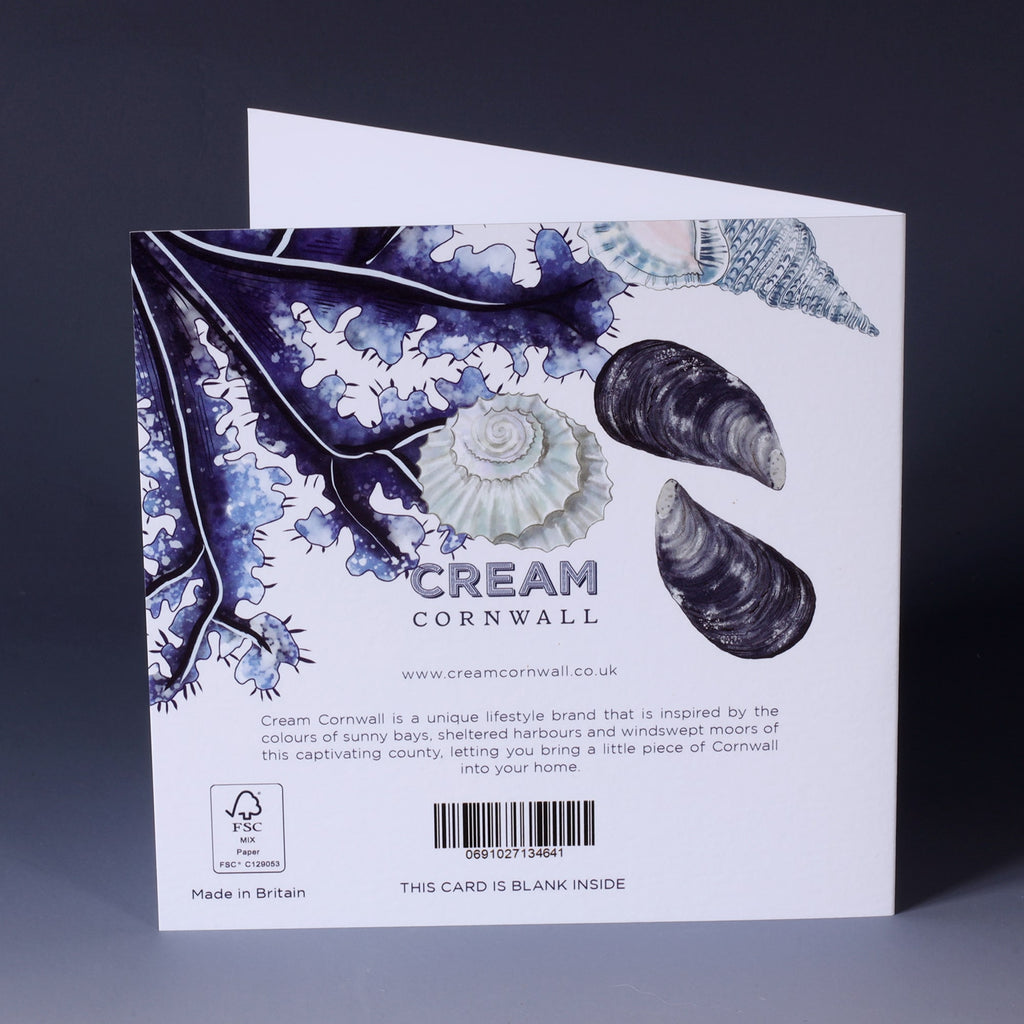 back of greeting card with illustration of seaweed, mussel and razor shells and beachcombing collections on a white background