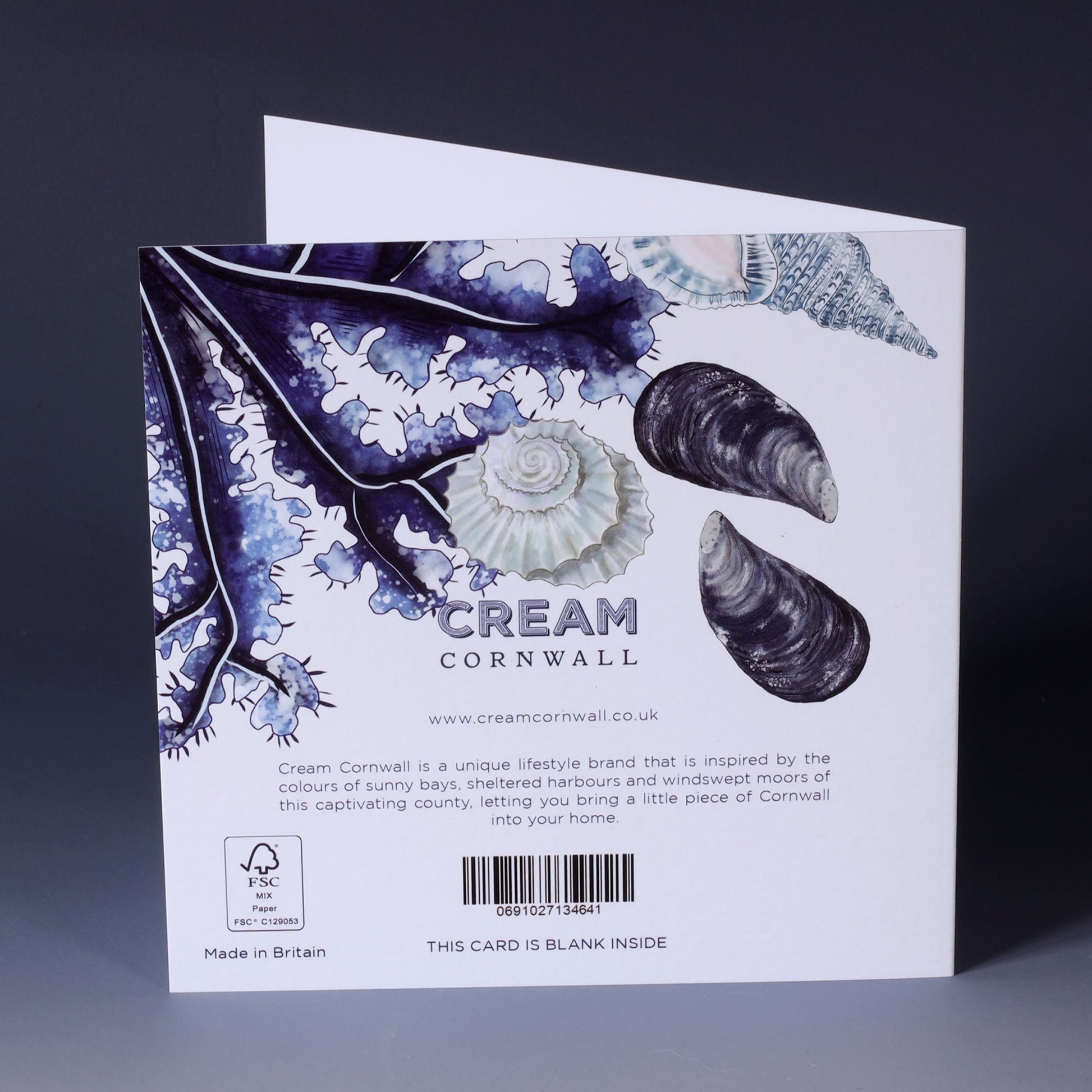 back of greeting card with illustration of seaweed, mussel and razor shells and beachcombing collections on a white background