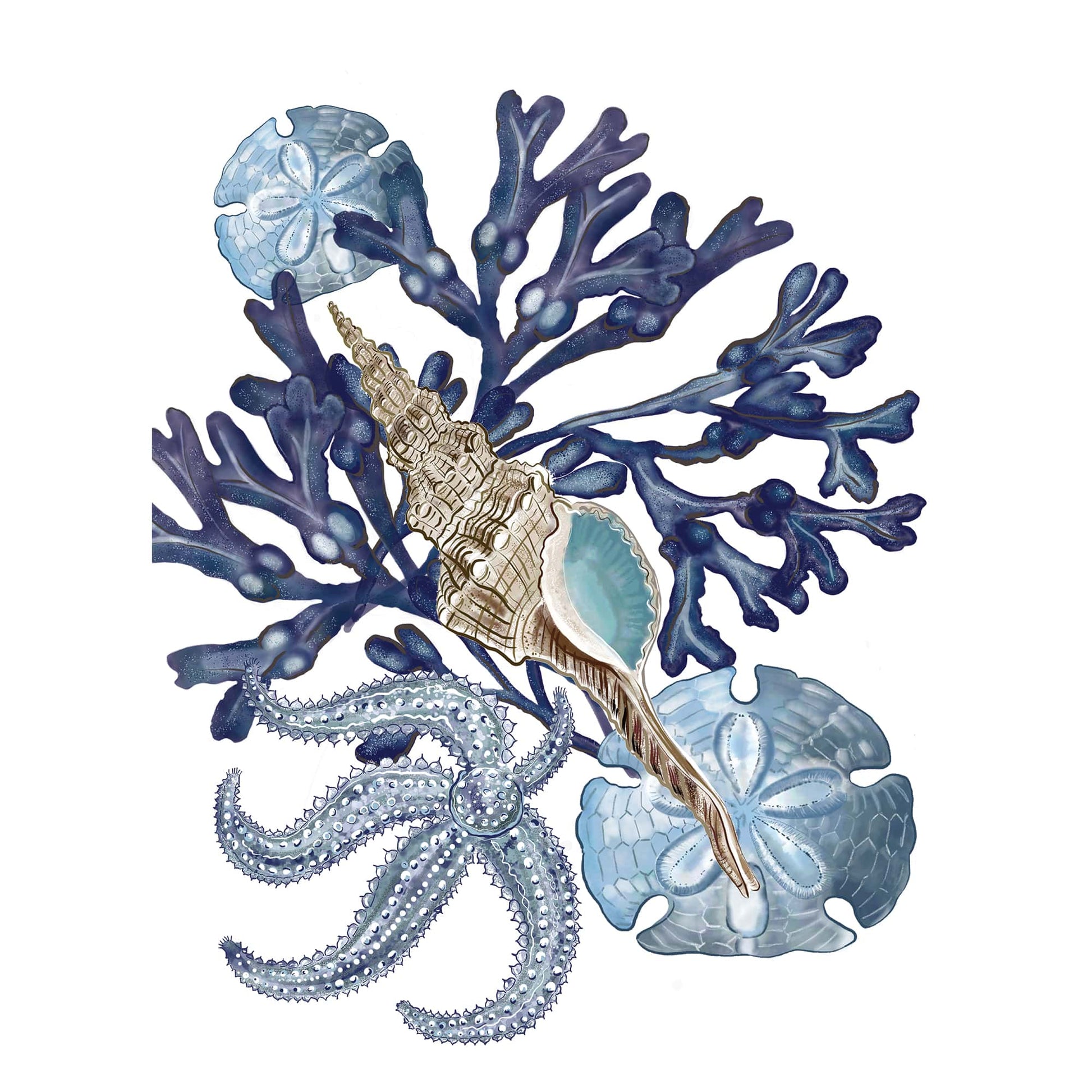 Illustration of a coastal-themed composition featuring blue seaweed, sand dollars, a starfish, and a detailed seashell in soft blue and beige tones. The marine-inspired design evokes an underwater aesthetic with natural textures and ocean elements
