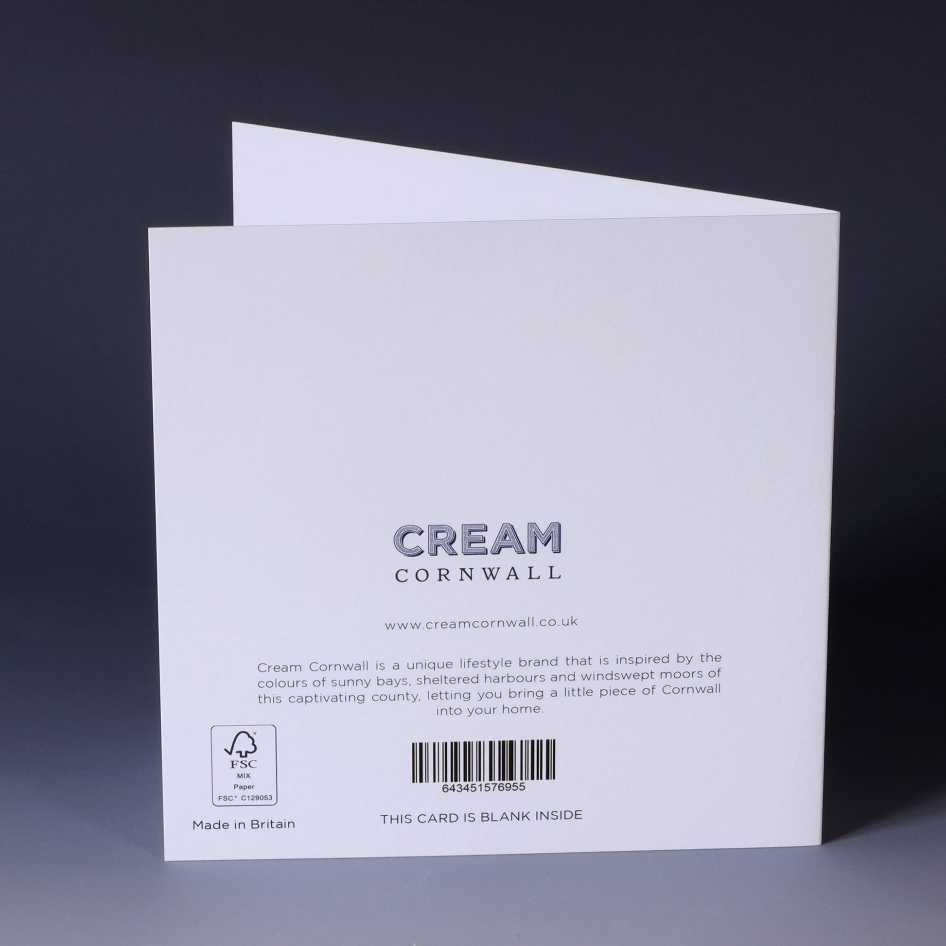 back of greeting card with navy illustration of a scallop shell on a white background