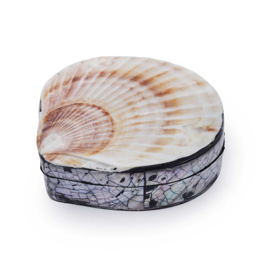 A small scallop shell keepsake box with a scallop shell top and a patterned base, photographed on a clean white background.