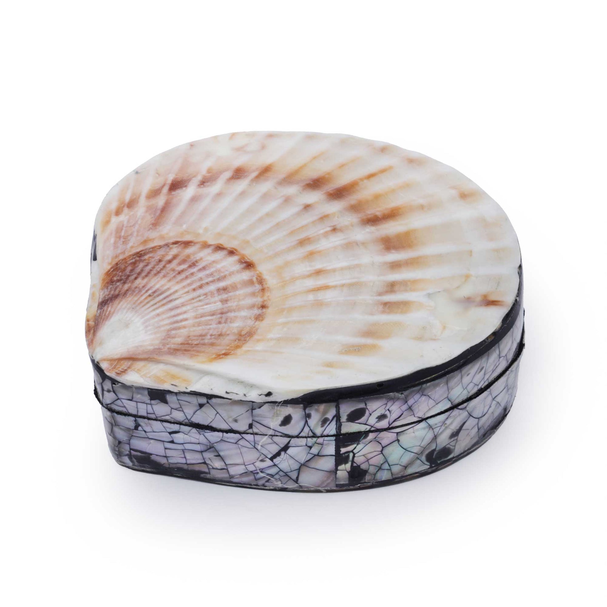 A small scallop shell keepsake box with a scallop shell top and a patterned base, photographed on a clean white background.