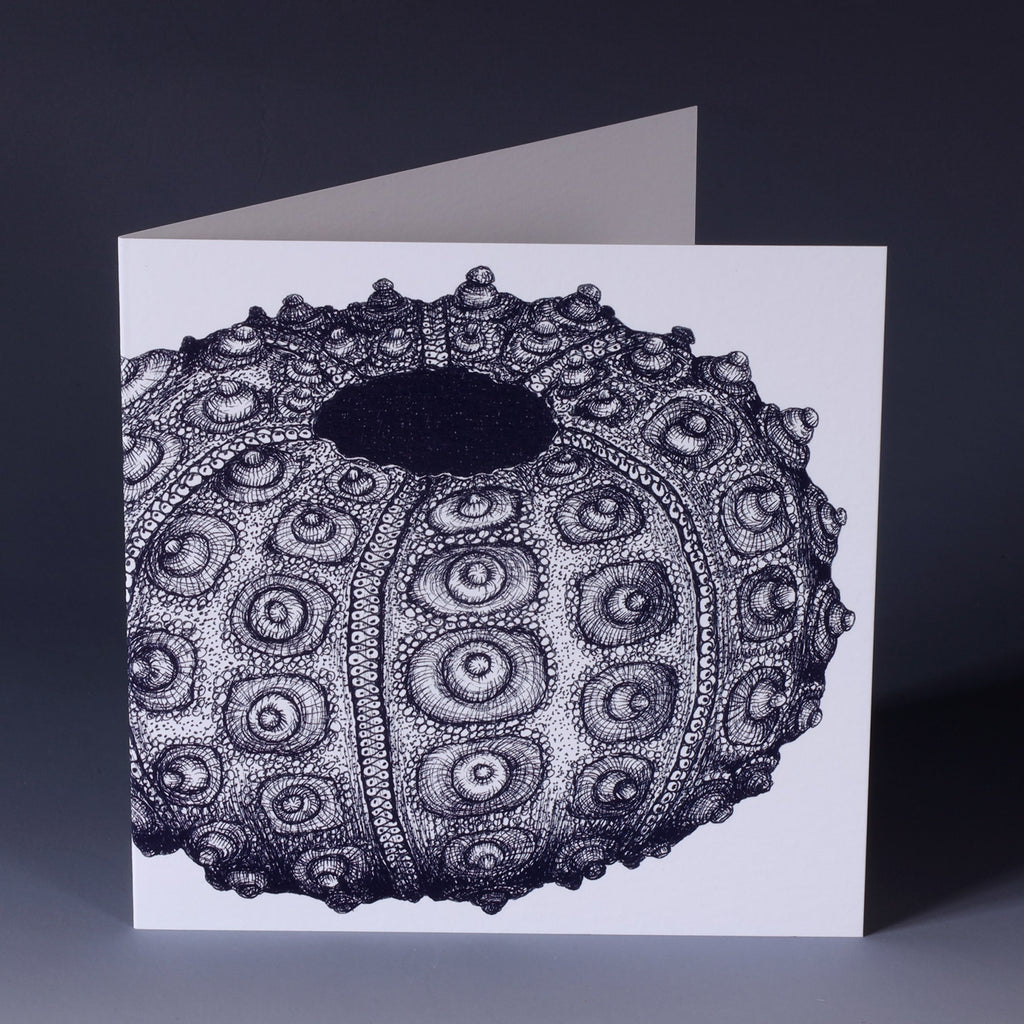 greeting card with nay illustrated sea urchin on white background