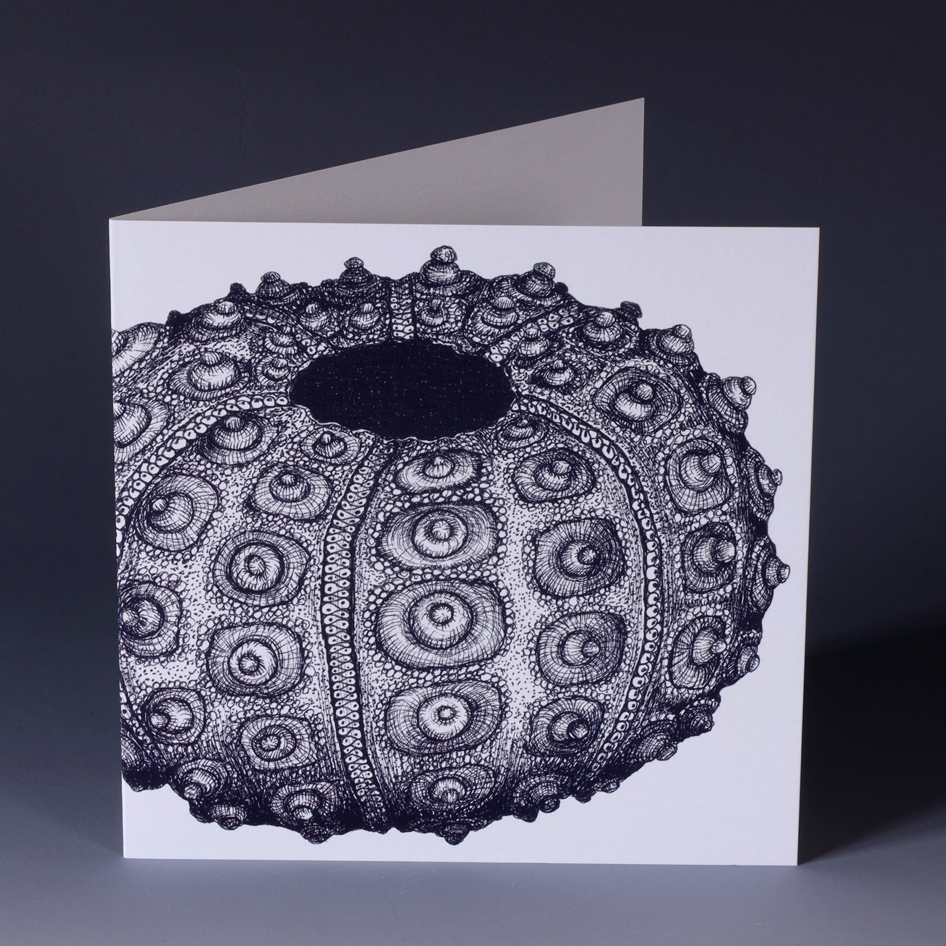 greeting card with nay illustrated sea urchin on white background