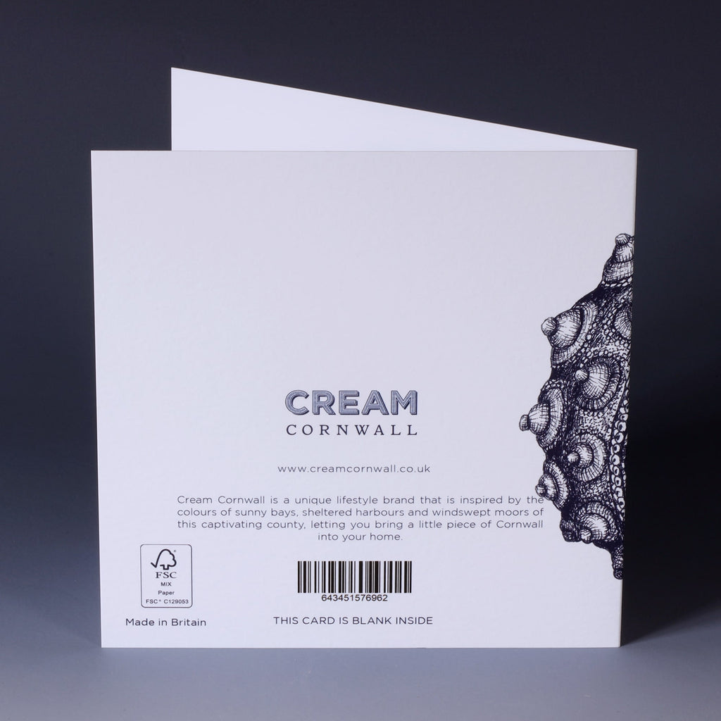 greeting card with nay illustrated sea urchin on white background