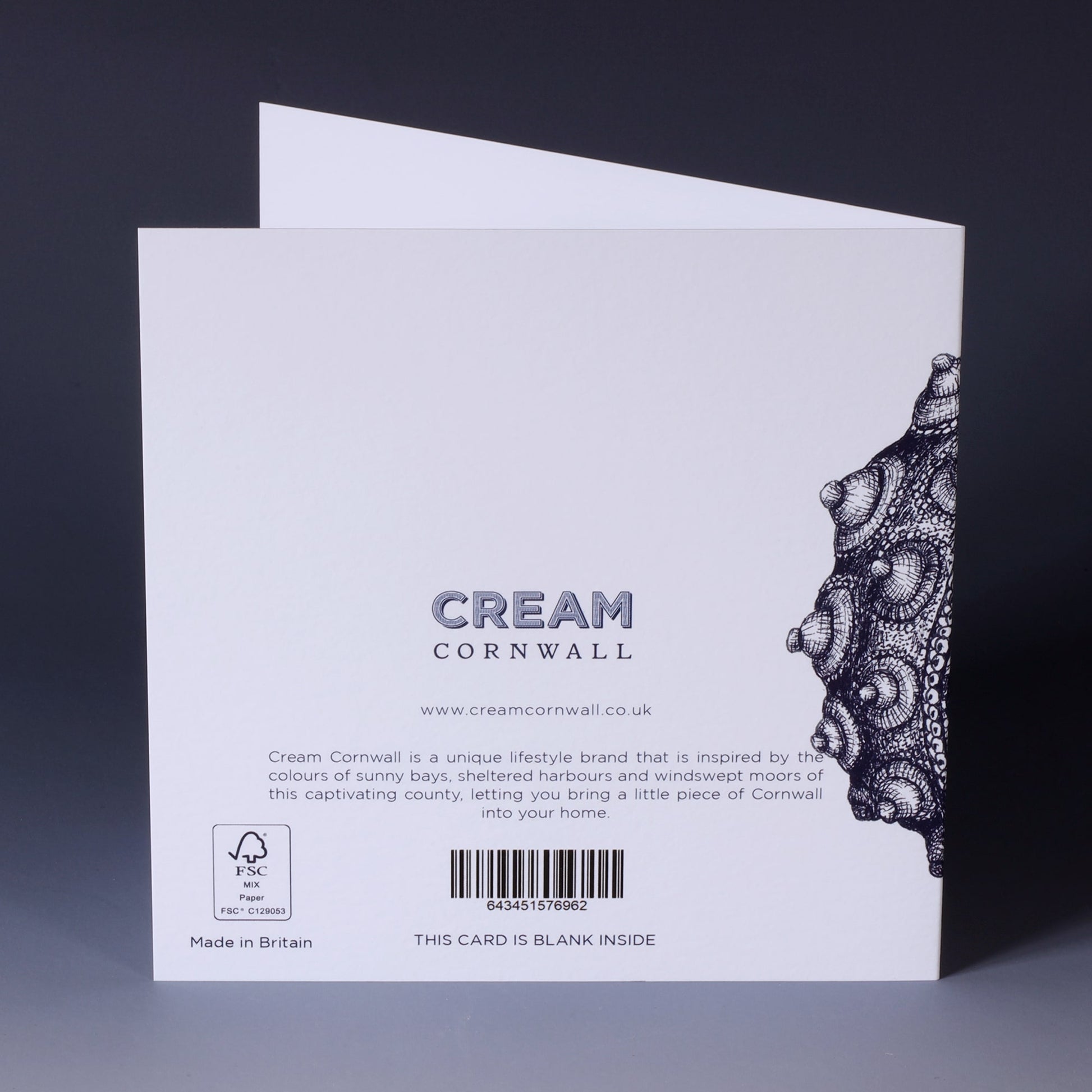 greeting card with nay illustrated sea urchin on white background