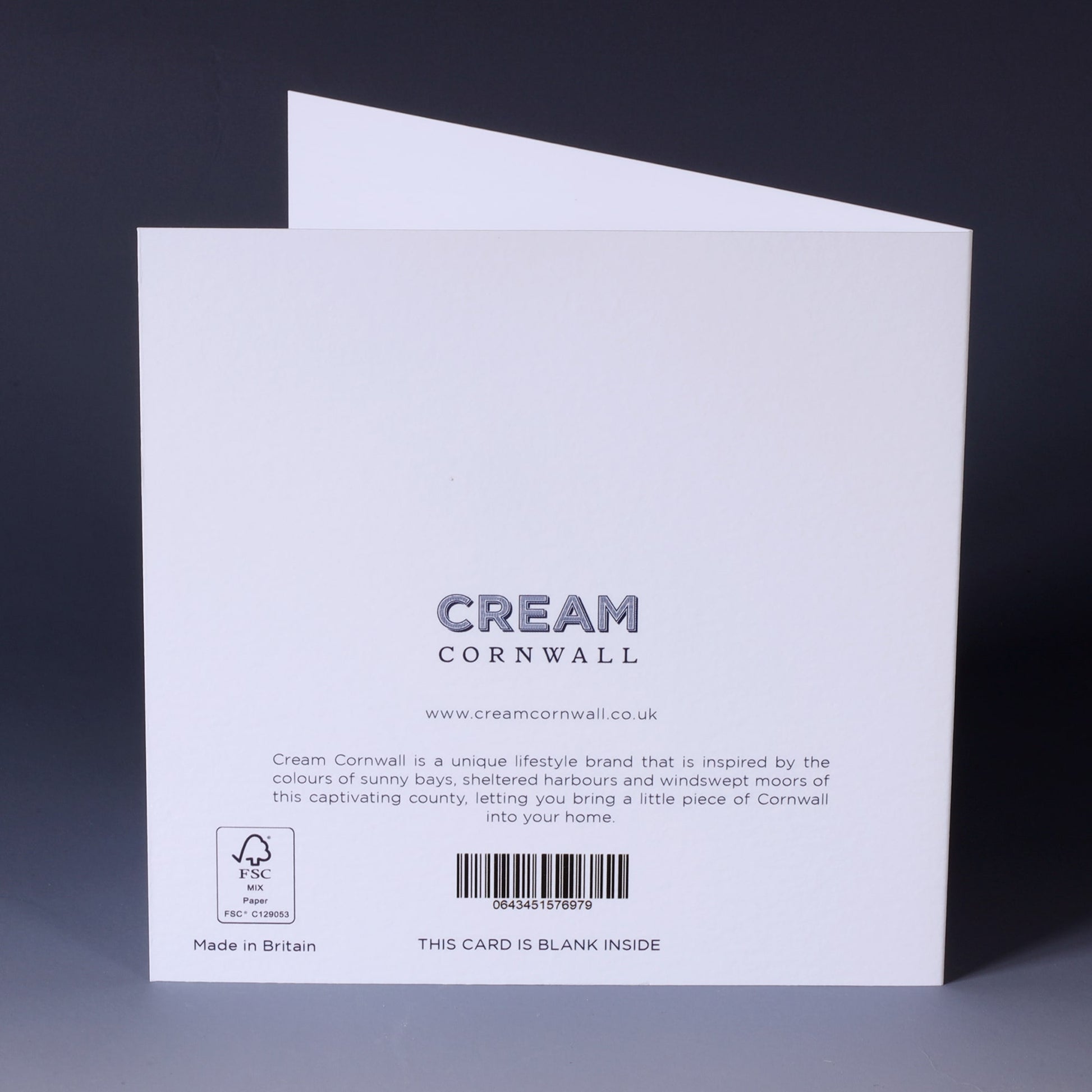 back of greeting card with illustrated navy seahorses back to back on a white background