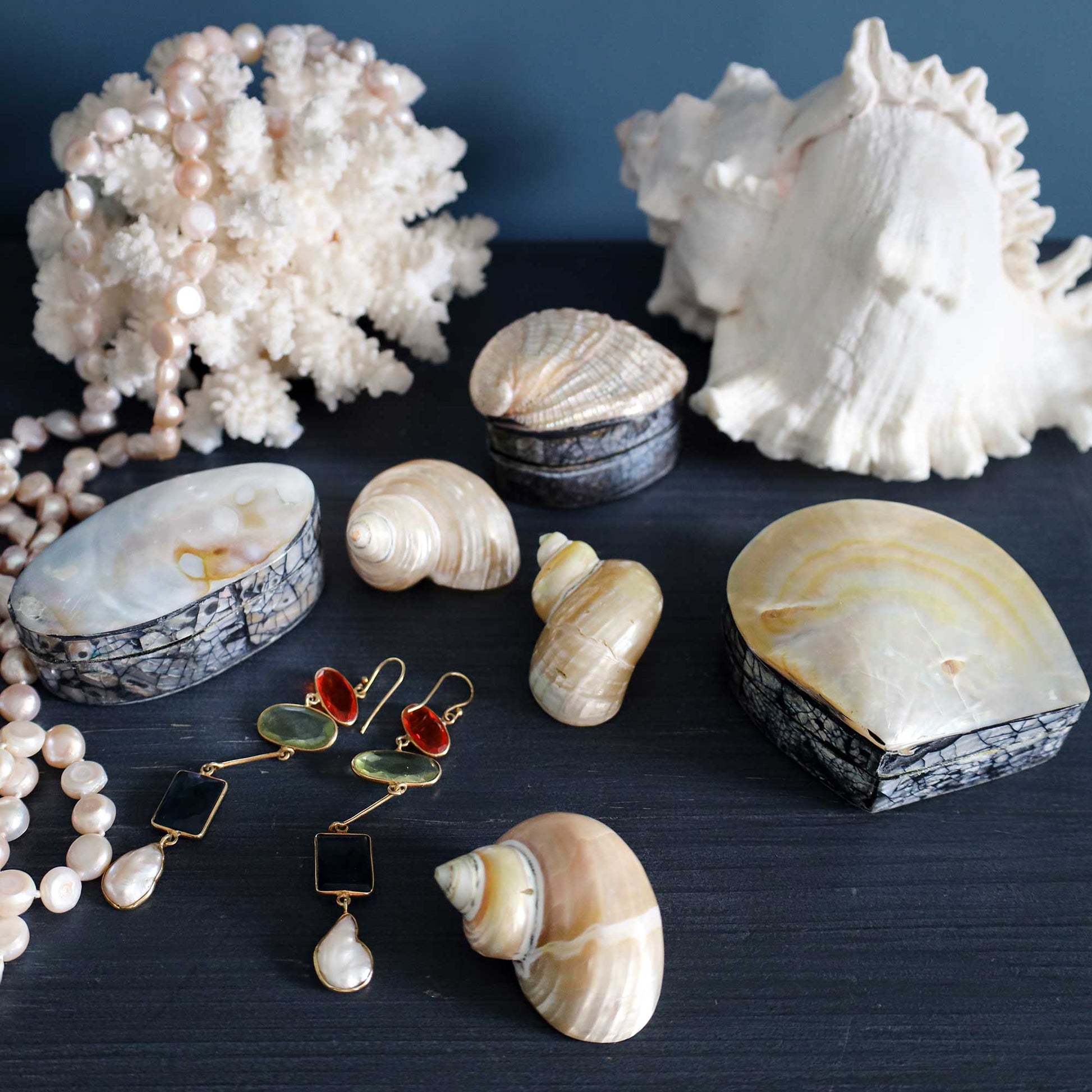 A small abalone shell jewelry box with a patterned black and gold lid, styled with seashells on a dark surface against a dark blue background.