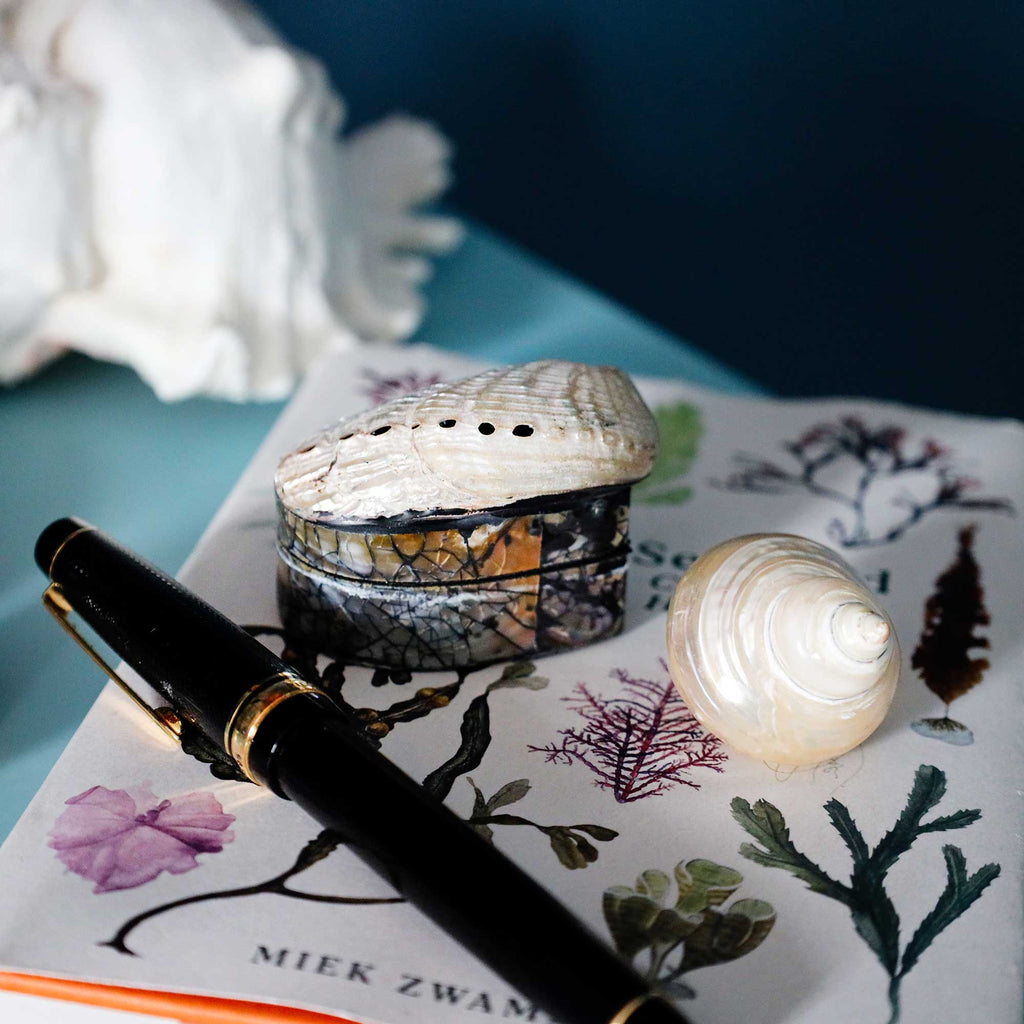 A black and gold pen resting on a printed botanical paper next to a small abalone shell box and a white clam shell, with a seashell prop in the background.
