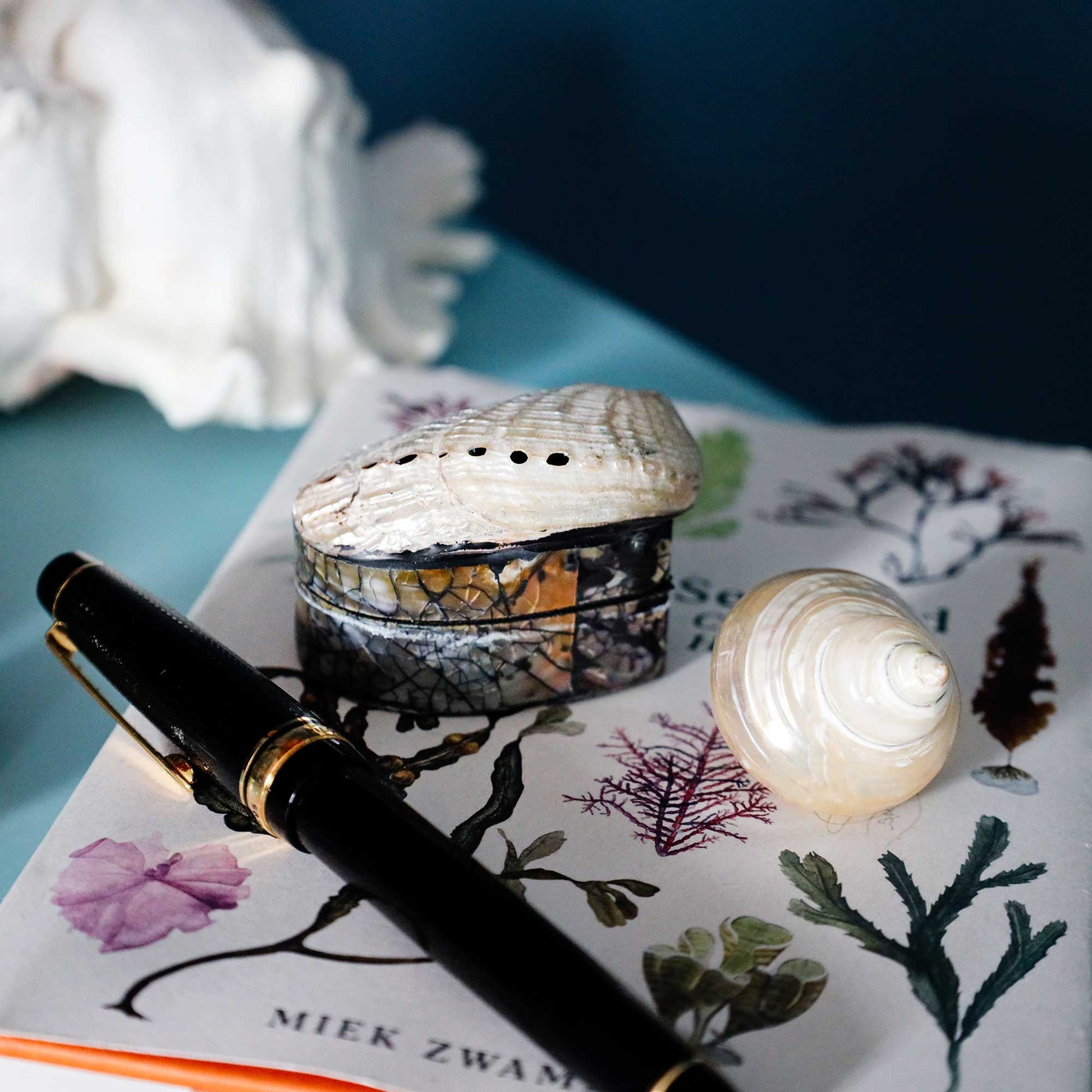 A black and gold pen resting on a printed botanical paper next to a small abalone shell box and a white clam shell, with a seashell prop in the background.