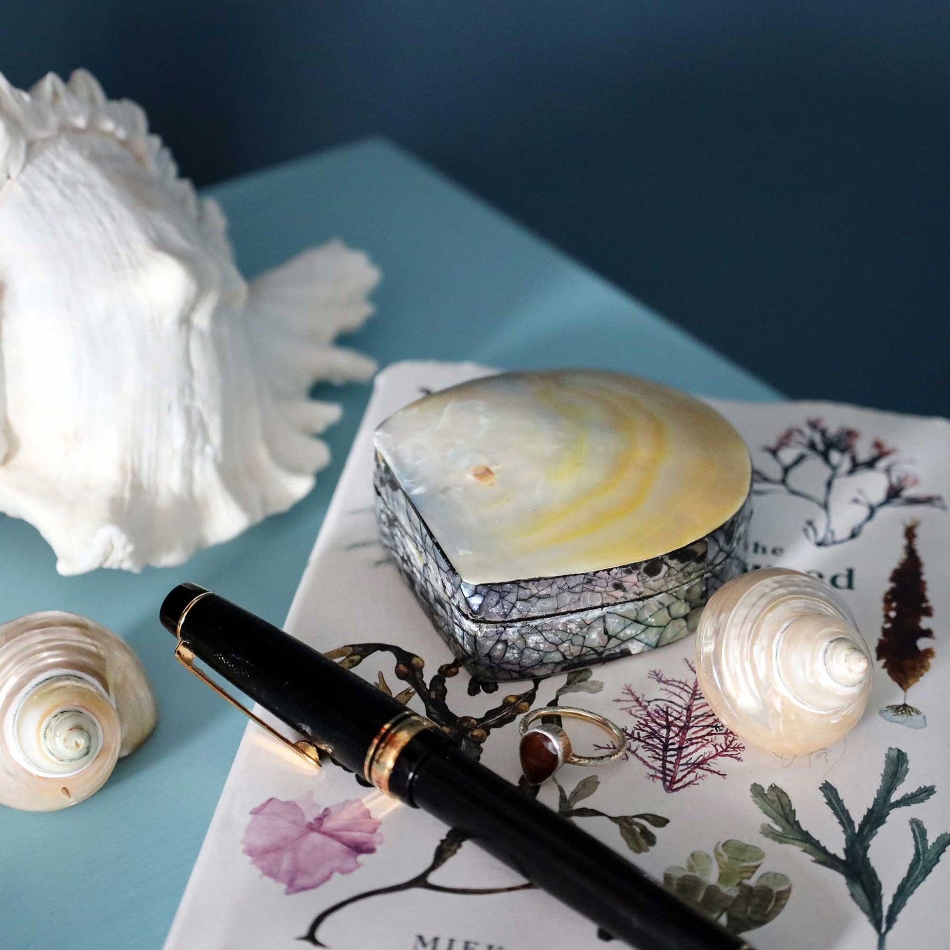 A small oval shell-lidded jewelry box with a mosaic patterned base, styled on a printed botanical paper alongside a black pen, seashells, and a large white conch shell on a blue surface.