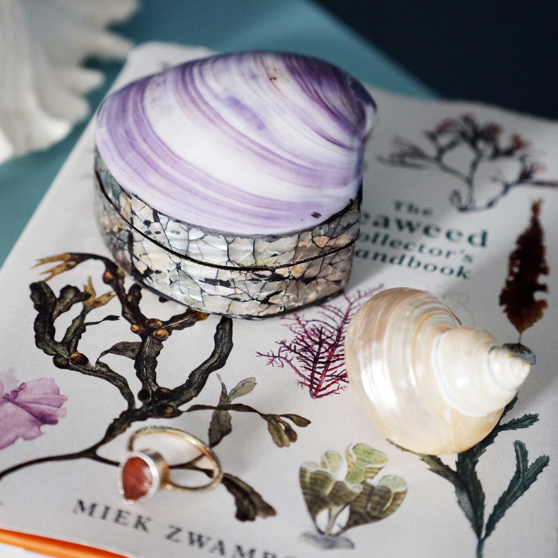 A small oval shell jewelry box with a purple and white striped top and a mosaic shell base, displayed on a book page alongside a seashell and a ring.