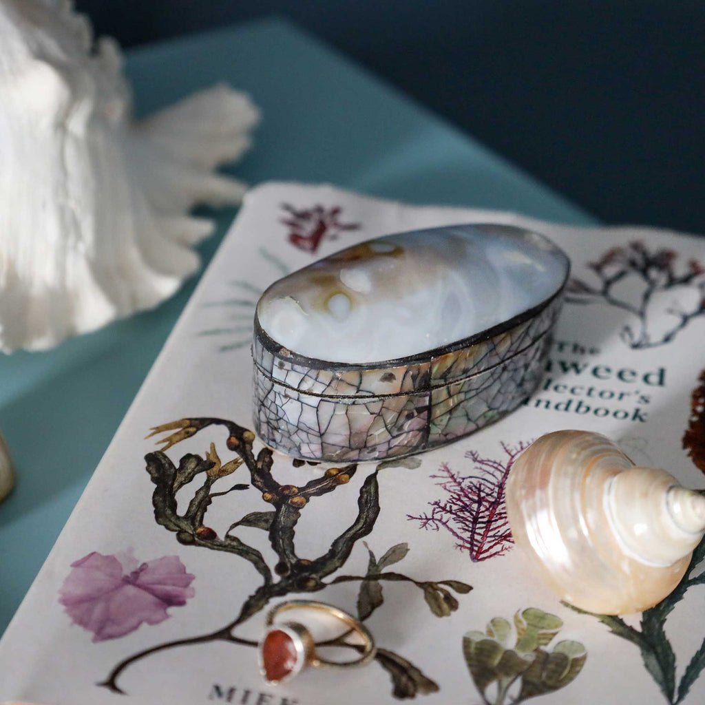 A shell-motif wrapped cuff bracelet displayed on a vintage-style illustrated book, alongside a seashell, a gold ring, and a white feather, set against a dark teal background.