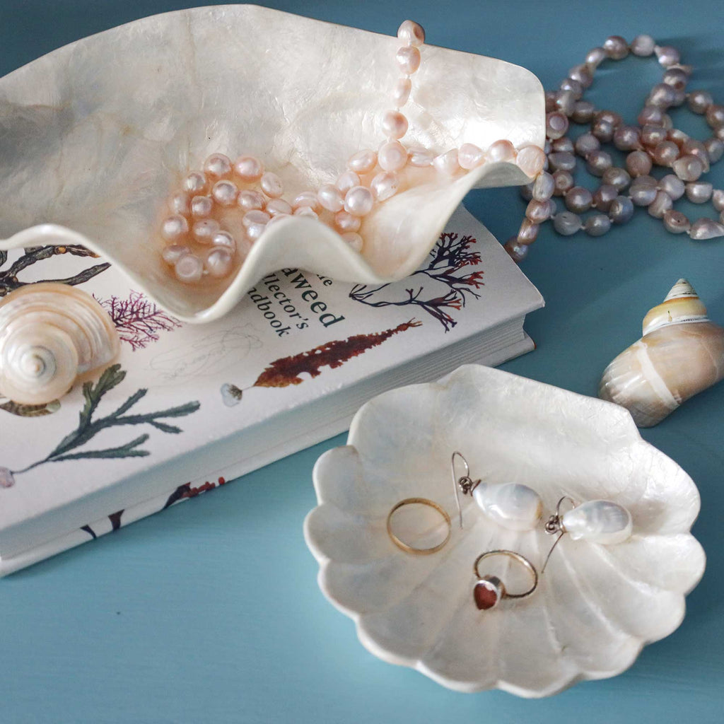 Shell-shaped ceramic jewelry trays holding pearl earrings and pearl necklaces, styled on a blue surface with shells, a book, and a strand of pearls.