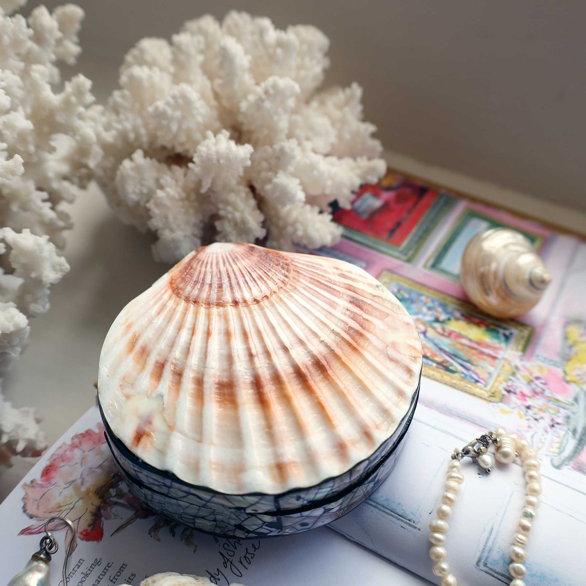 A scallop shell lidded box with a blue and white patterned base, styled on top of vintage postcards with a pearl necklace, a small seashell, and white coral in the background.